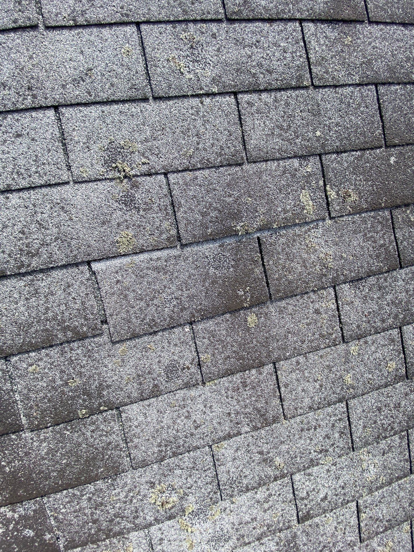 Full Roof Replacement with Platinum Warranty in Woburn, MA by Mighty Dog Roofing of Greater Middlesex County