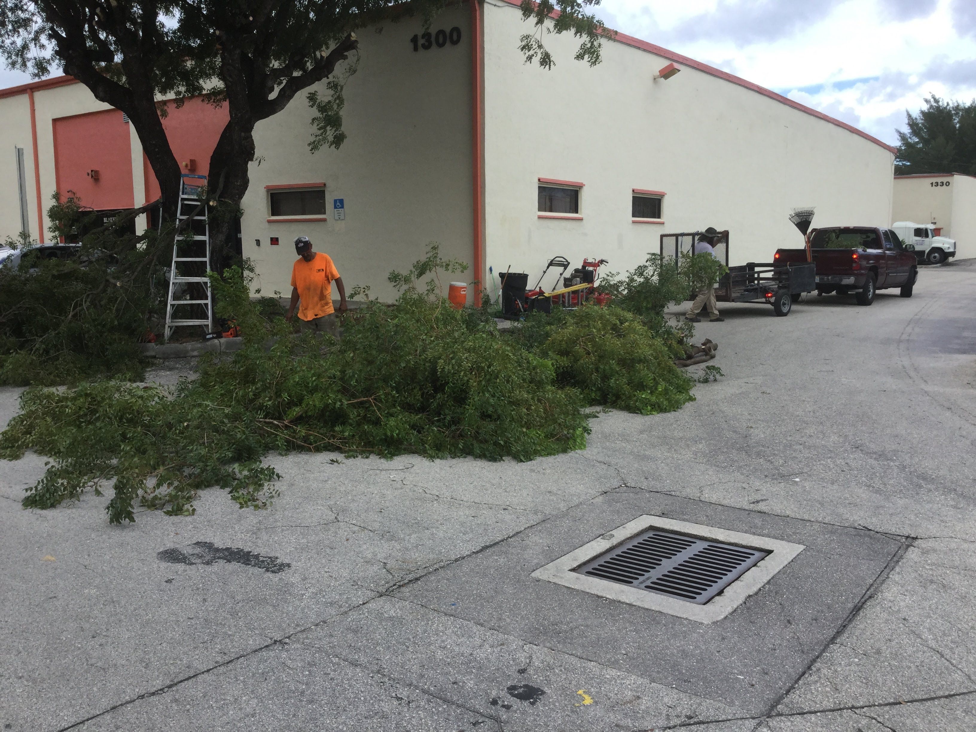 Commercial Tree Trimming & Debris Removal by
M.A.B. Landscaping & Property Maintenance