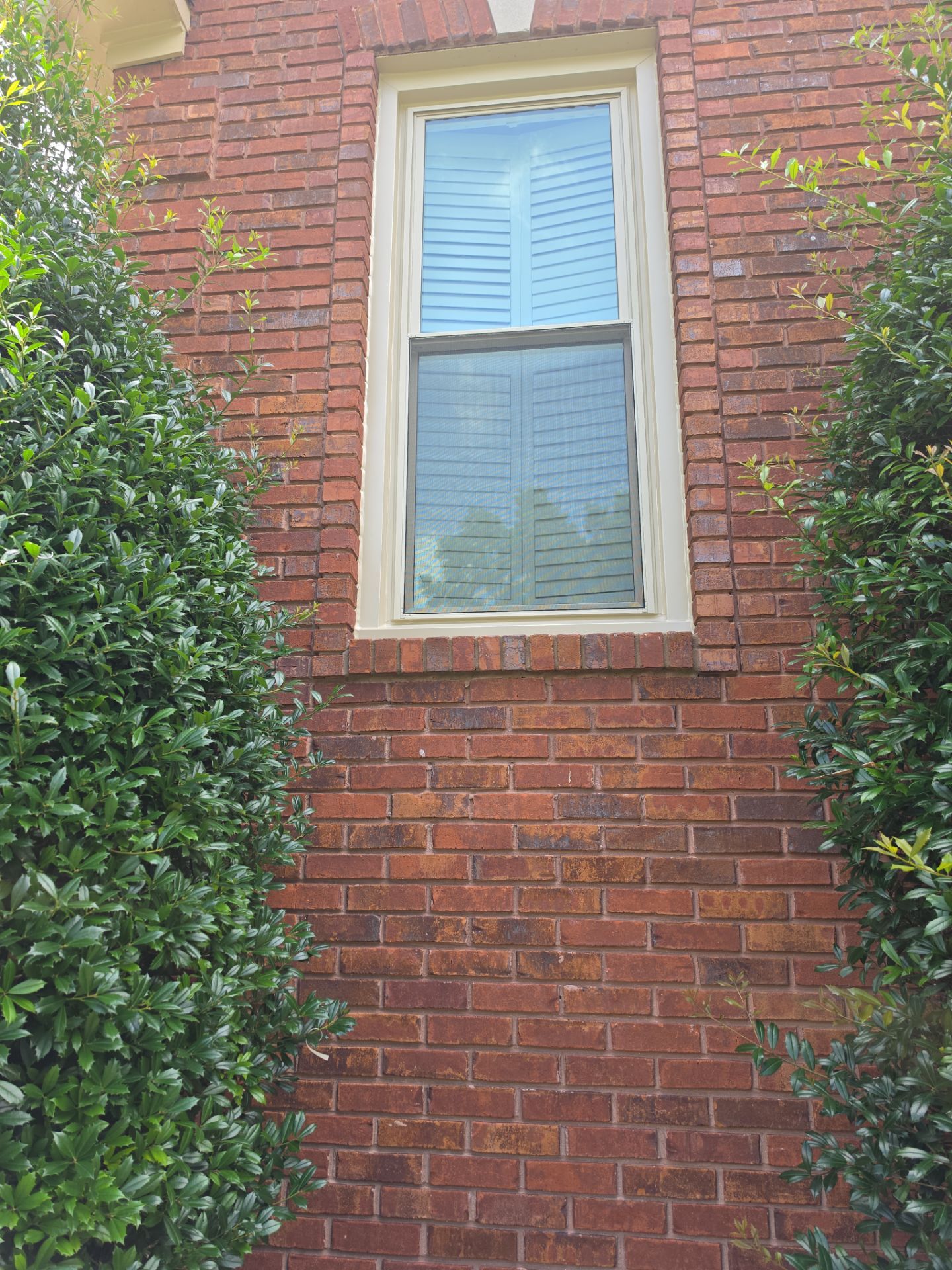 Eifert Project in Hoover by The Window Source