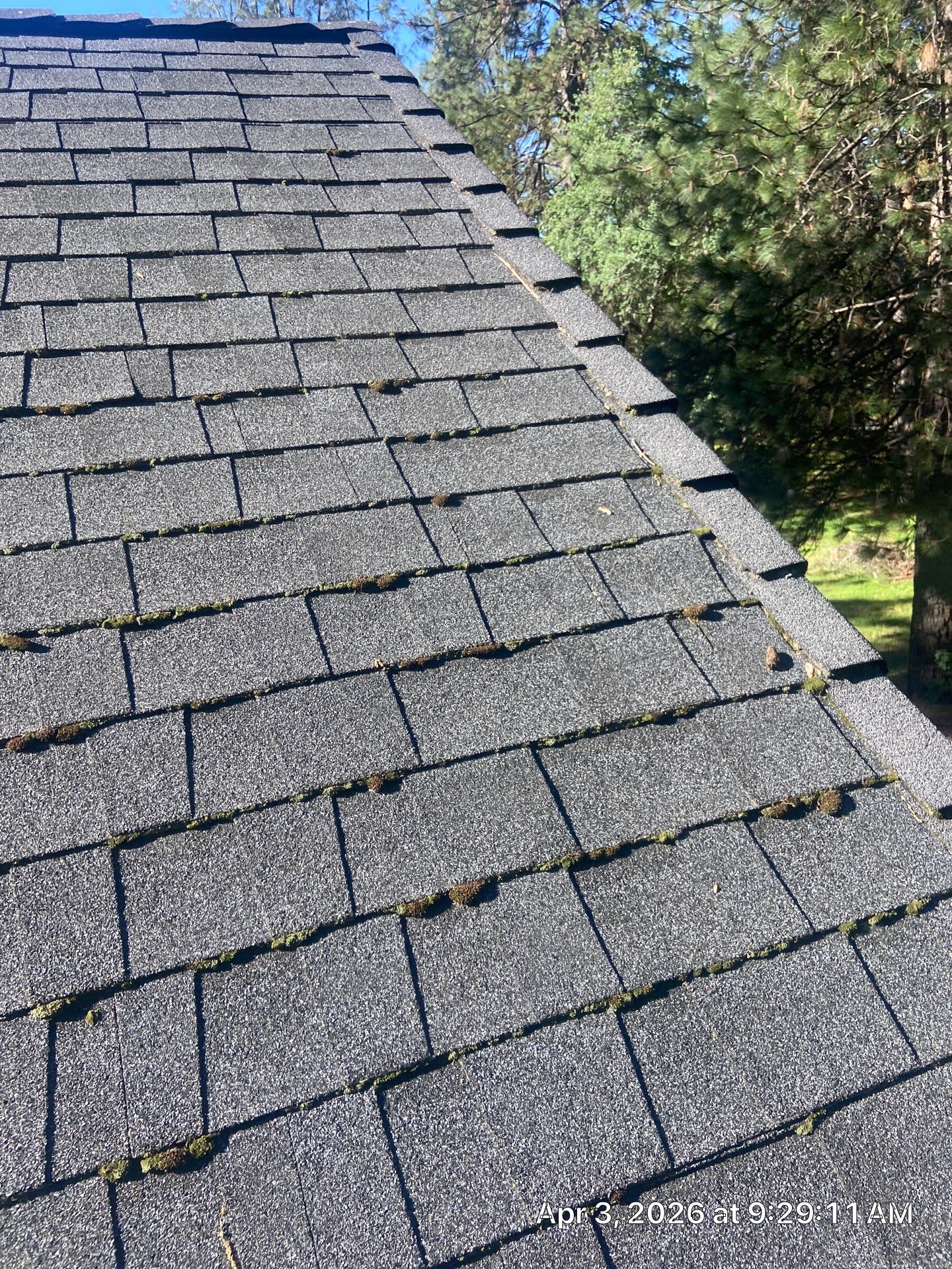 Roof Rejuvenation using Roof Maxx Treatment by Roof Maxx of Folsom