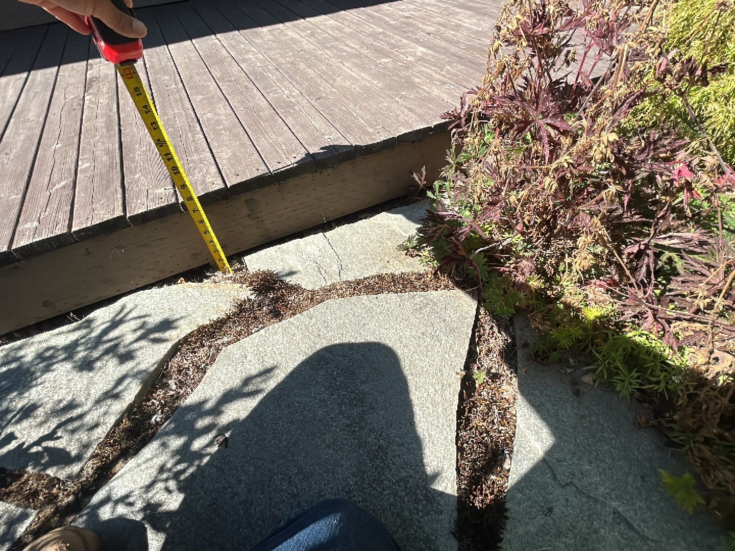 Edie | Concrete Driveway and Walkway  by Jireh Asphalt & Concrete Inc 