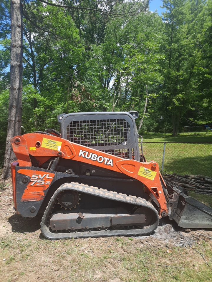 Tree Removal using Tree Removal by Mike Jones & Sons Tree Service LLC 