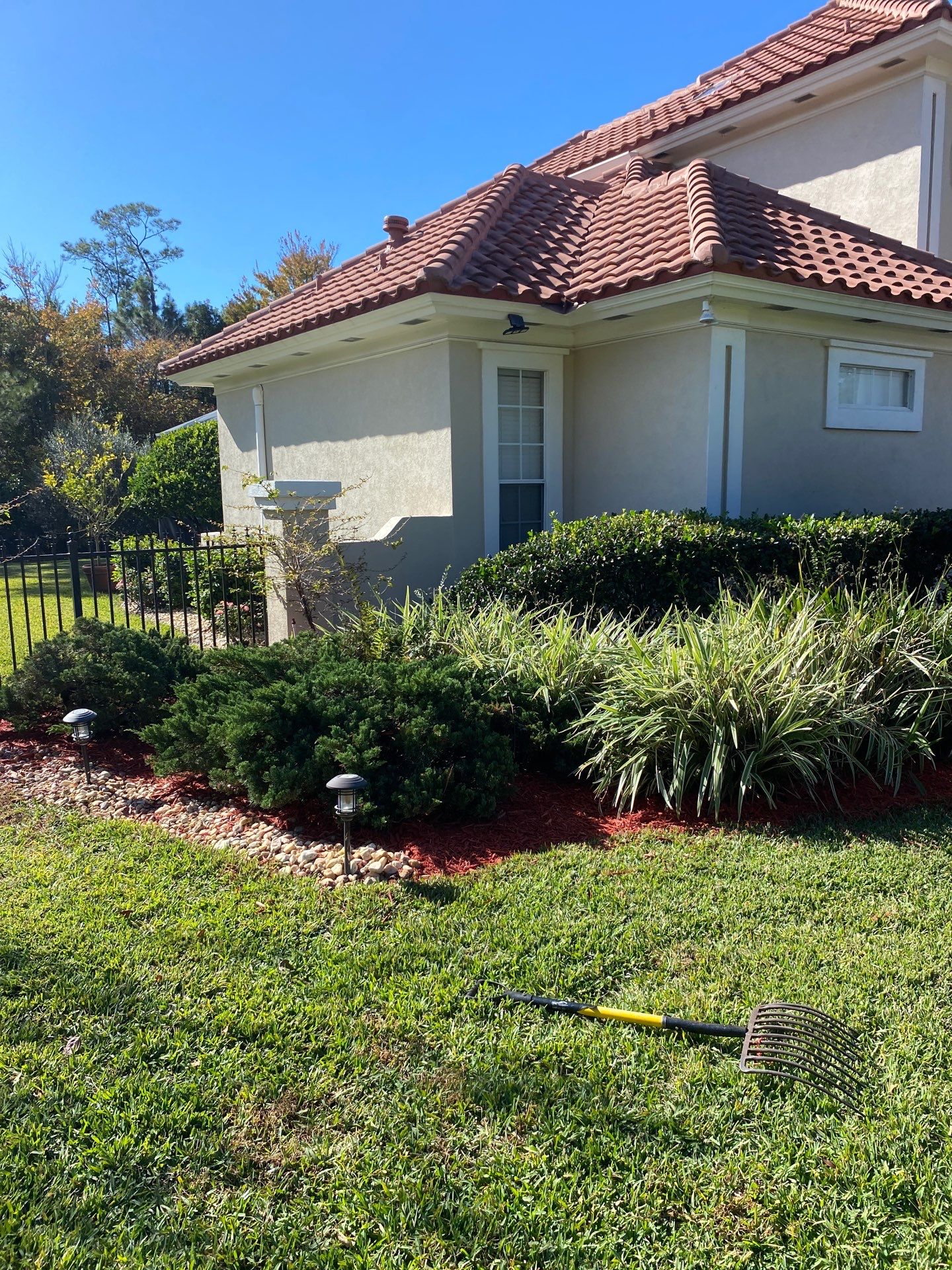 Deerwood Resident | Palm Trimming & Ground Cover by ProGreen Services