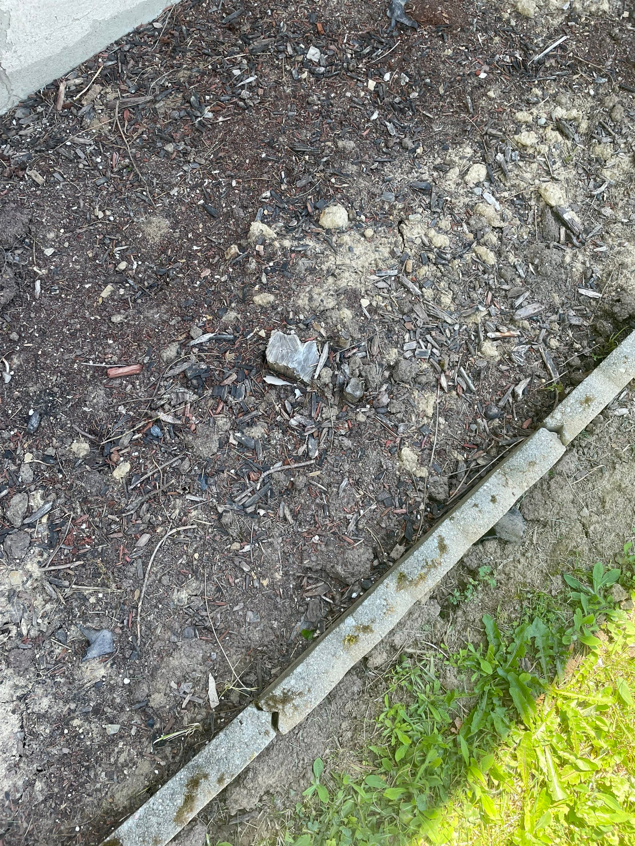 Tree Removal using Tree Removal by Mike Jones & Sons Tree Service LLC 