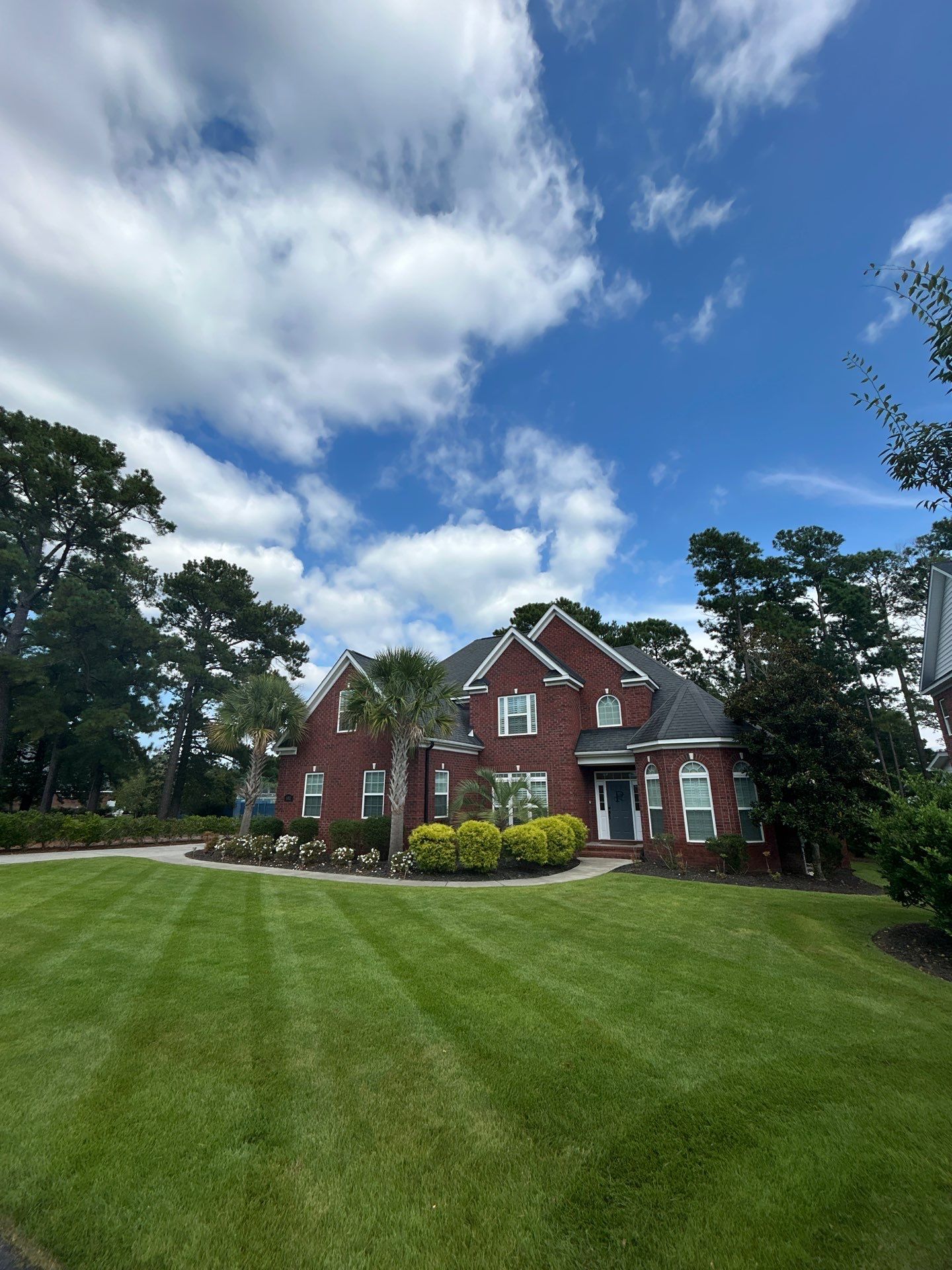 Mow-Mentum Lawn Care Services LLC featured photo.