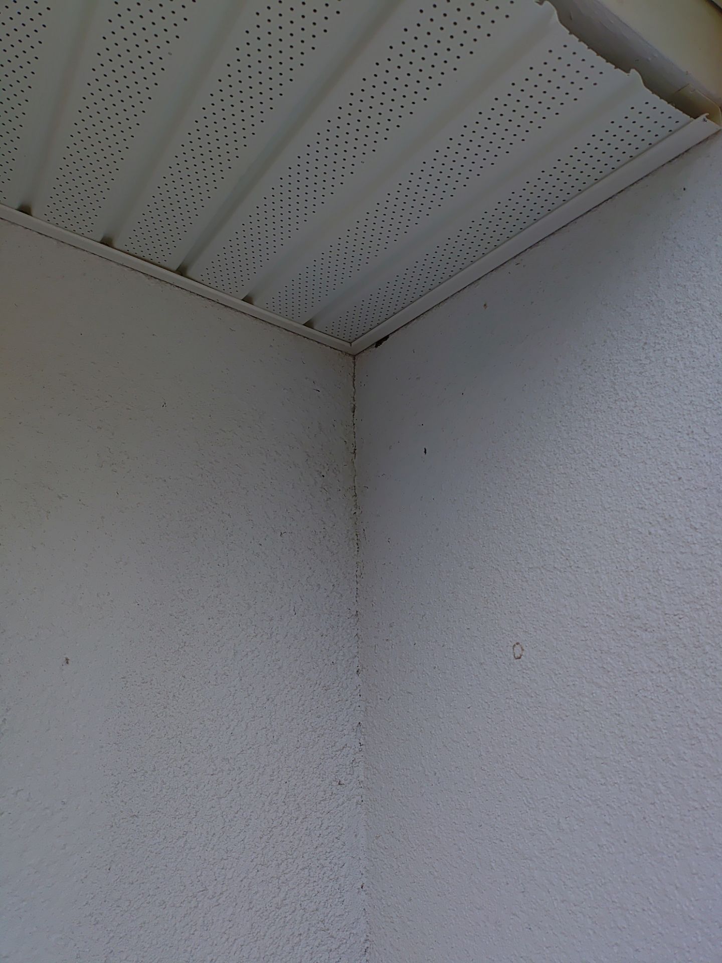 Custom Gutter Guards Installation in Sarasota FL by Gutter Professors