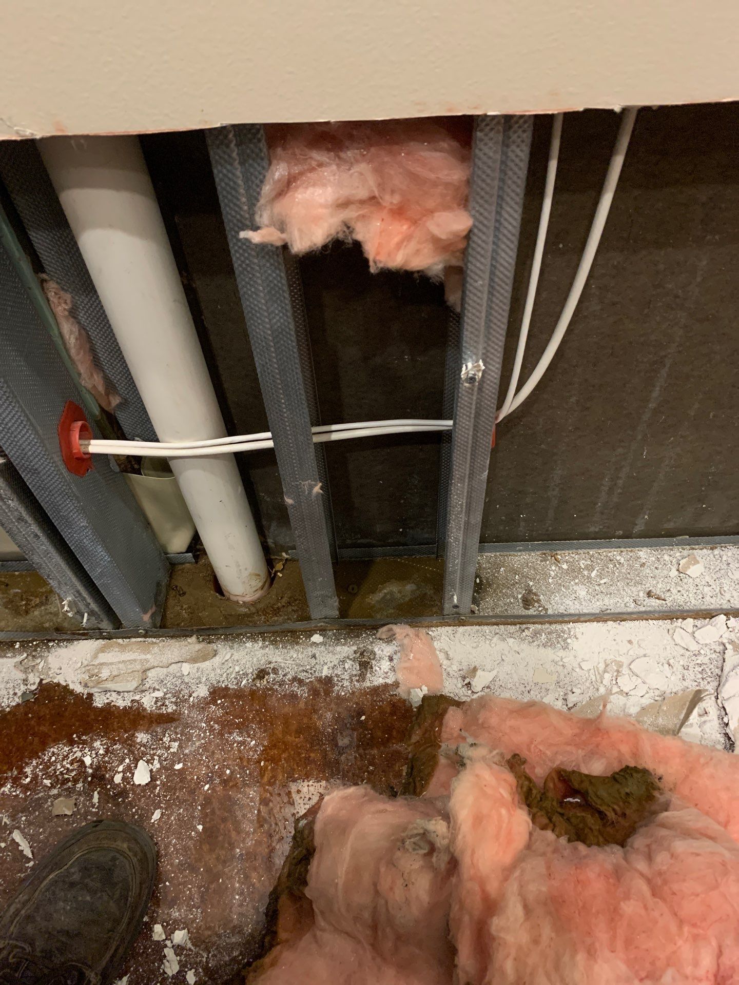 Mitigation and Restoration by EAS Environmental, LLC.