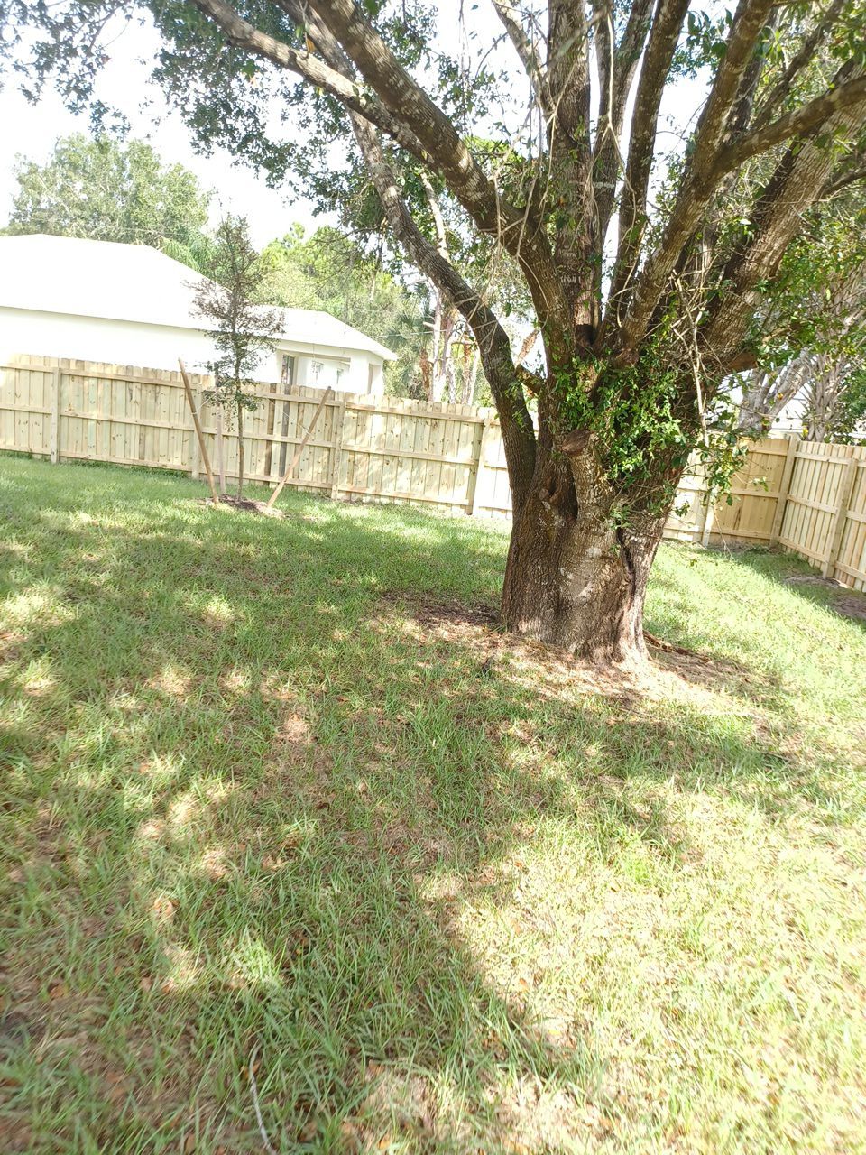 Port Charlotte, Florida 6 ft. Tall Board on Board Privacy Fence  by Asap fence and gates, LLC