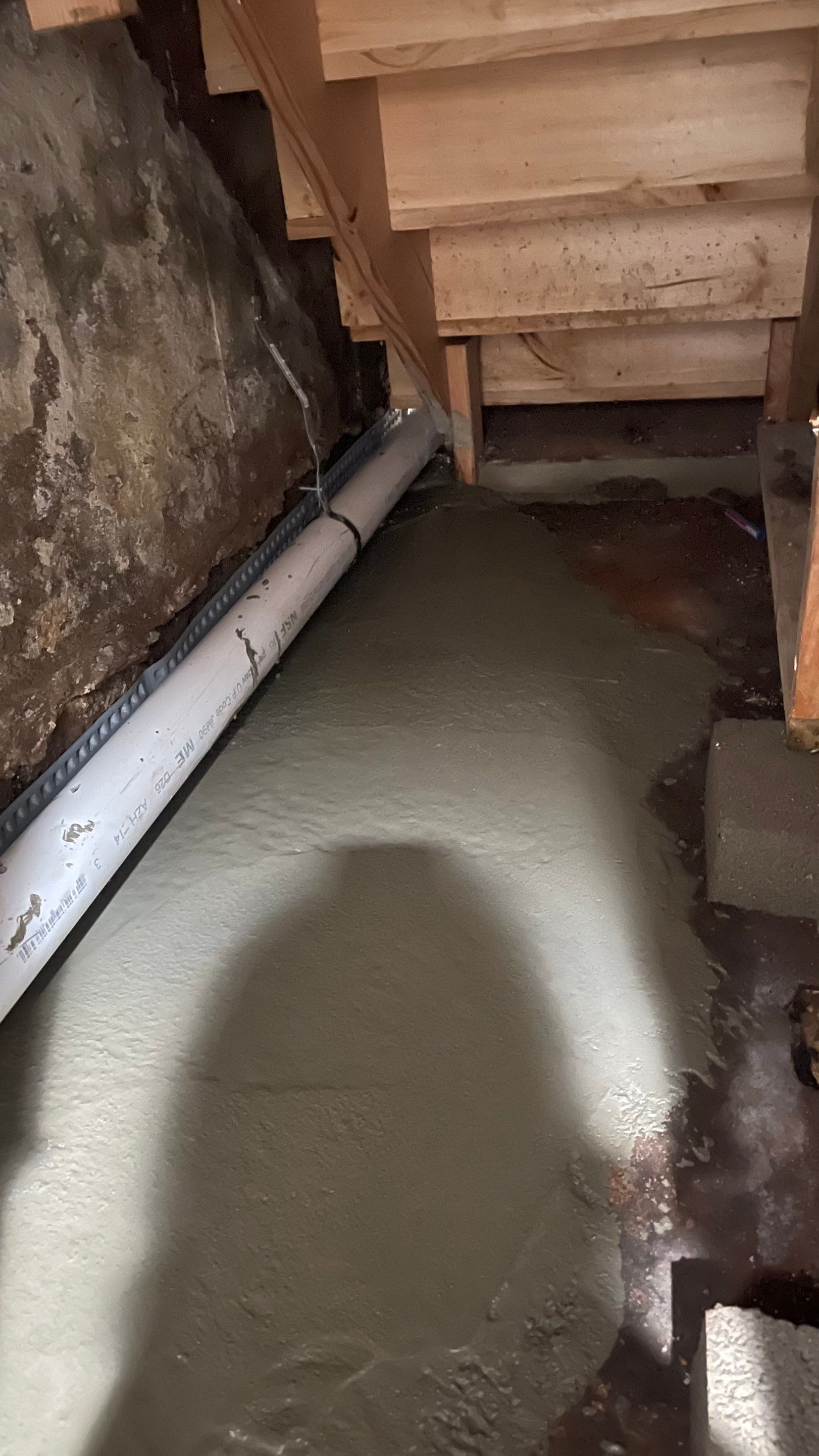 Interior French Drain Job in Lyndhurst, NJ by Pure Service Pro, LLC 