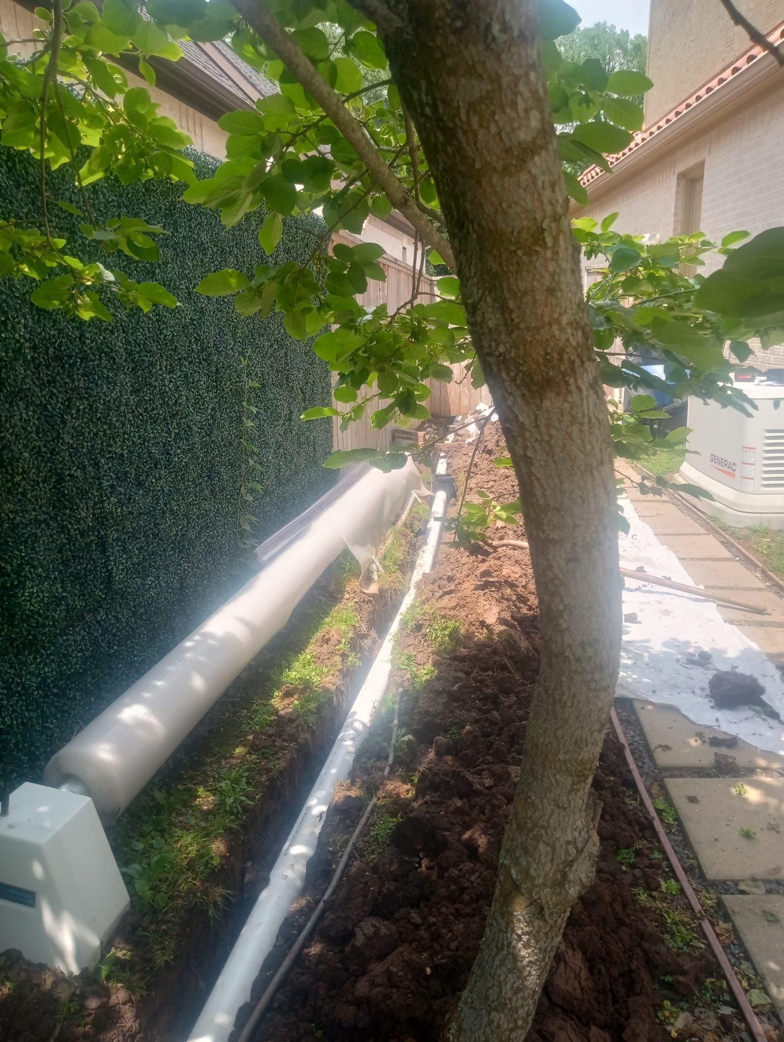 🌟 Mr. Simon’s Complete Curb Appeal Package by Texas Urban Elements