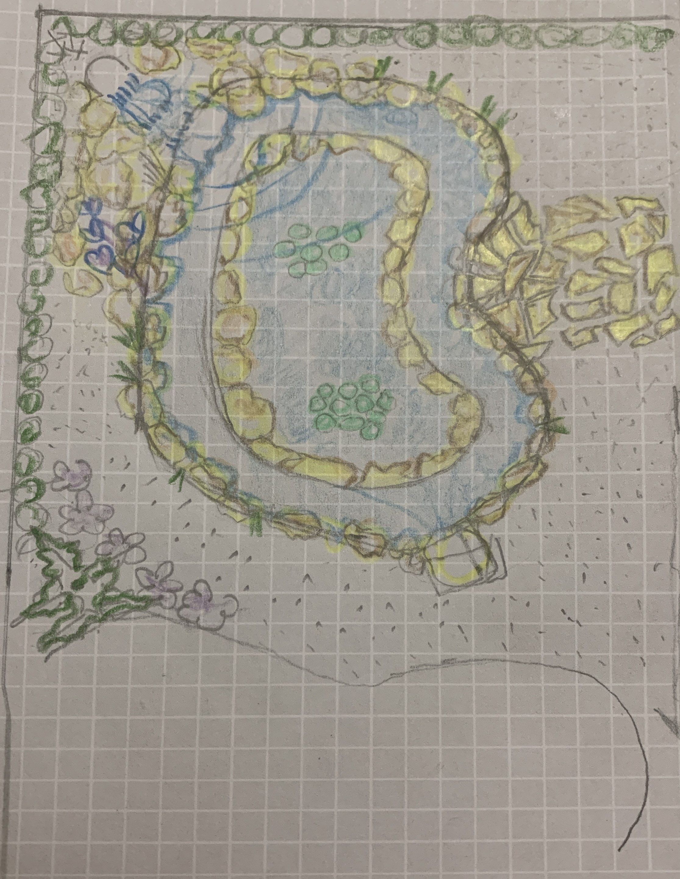 Small Koi Pond by Nature's Dream Landscape and Tree Service