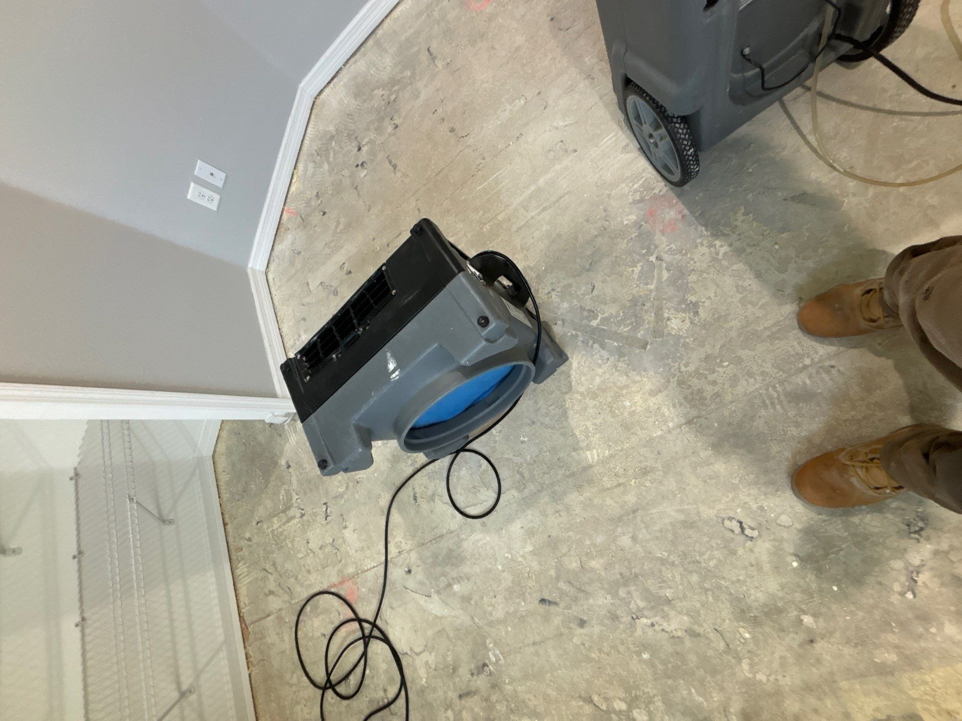 Mold Removal And Remediation In Parrish by Ampm Restoration Services