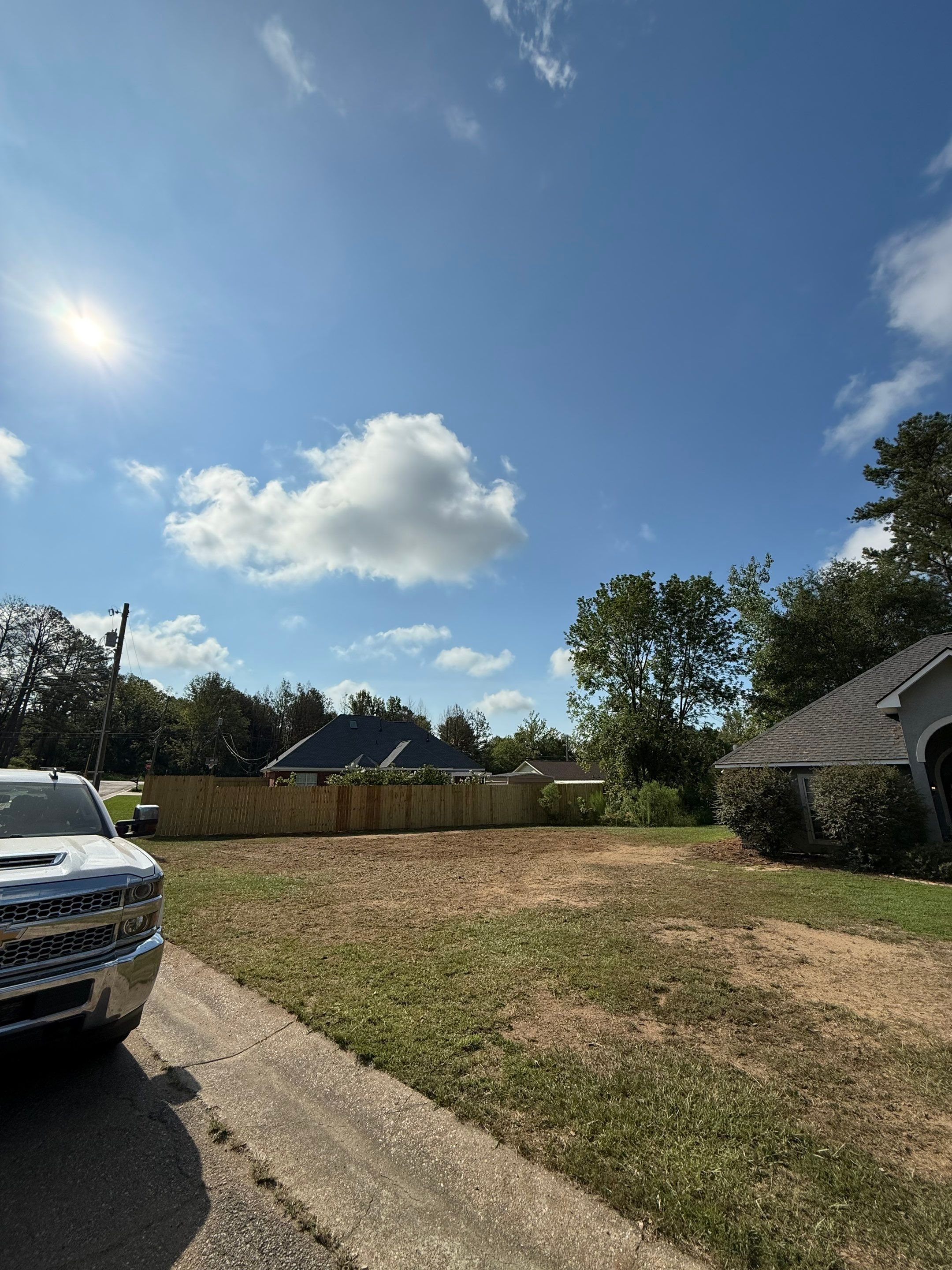 Pine Tree Removal by American Arbor