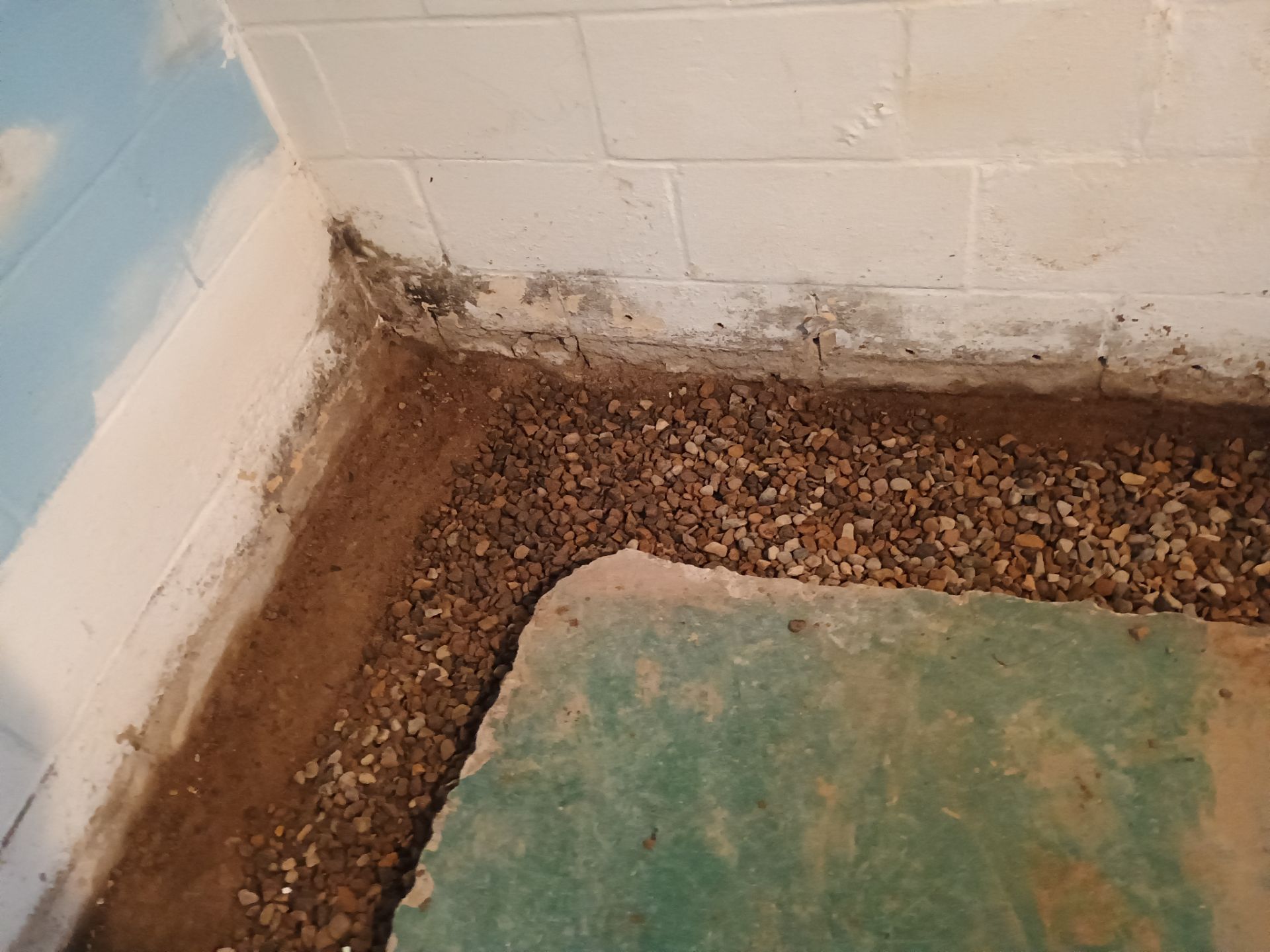 Completing the Connection for Lisa's Drain Tile System by Waterproofing Northeast