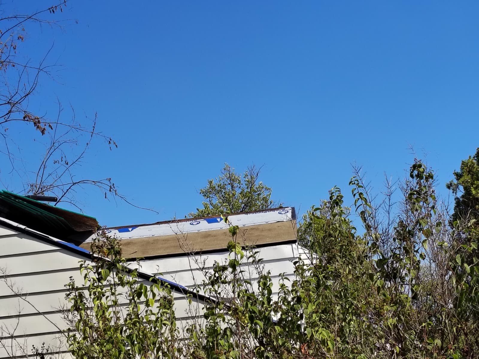 Roof/deck Rehab - Detroit  by Jones Cleaning Services