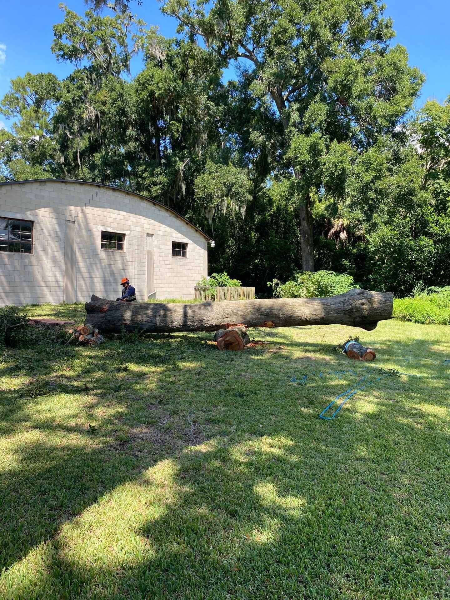 Commercial Property | Clean Up & Tree Removal by ProGreen Services
