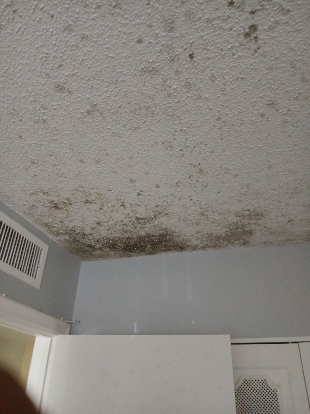 Mold Remediation and Moisture Detection Services in West Palm Beach by SuperClean