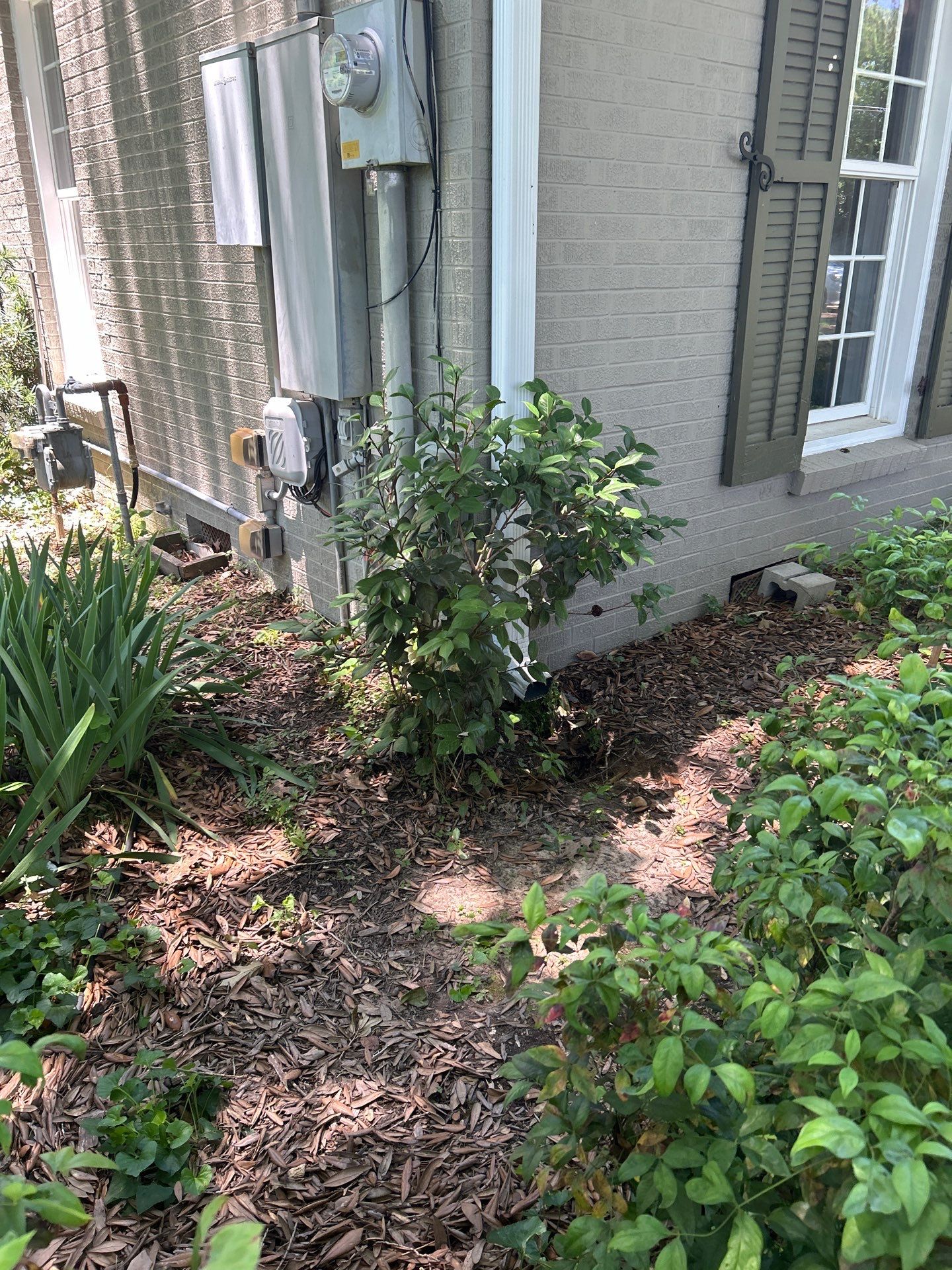 Mrs. Babs  by College Bros Outdoor services