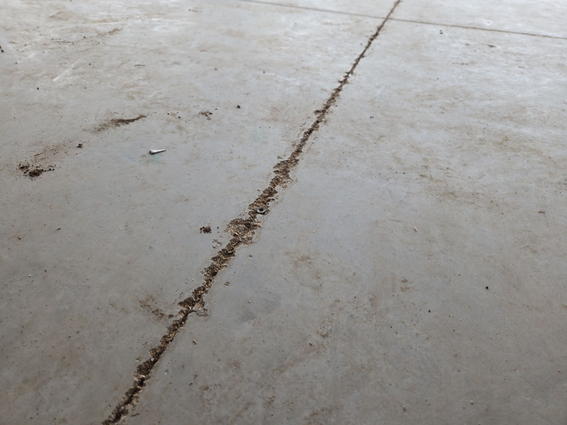 Speckled Epoxy Floor Coating for Large Shop in Rock Valley by Select Painting, Coatings & Garage Cabinets