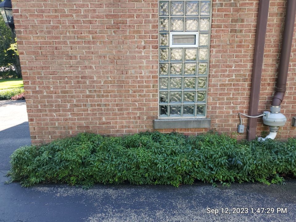 natural stone using Algaecide, soft wash soap by Northern Power Washing LLC.