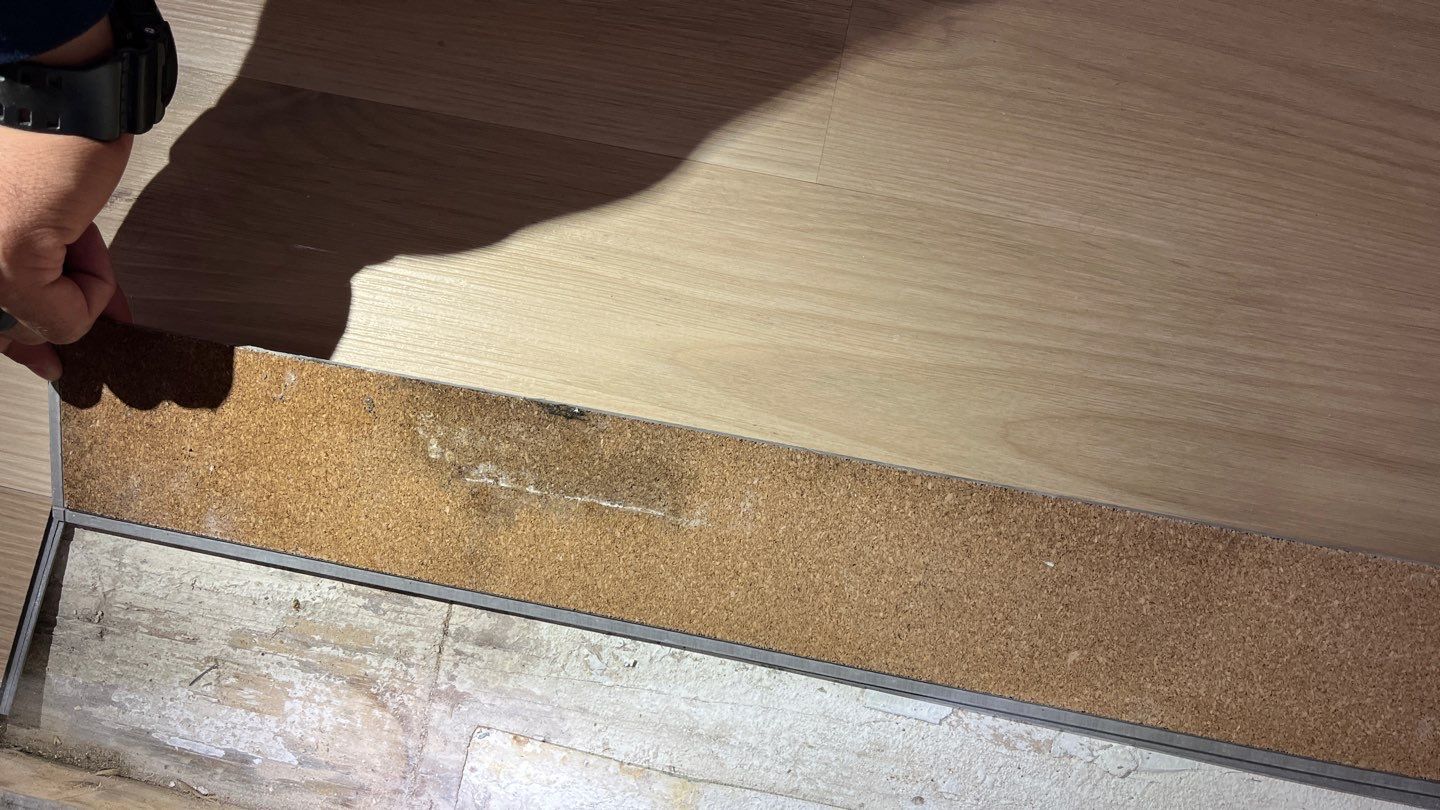 Mold Damage Project in Littleton by Accountable Home Services
