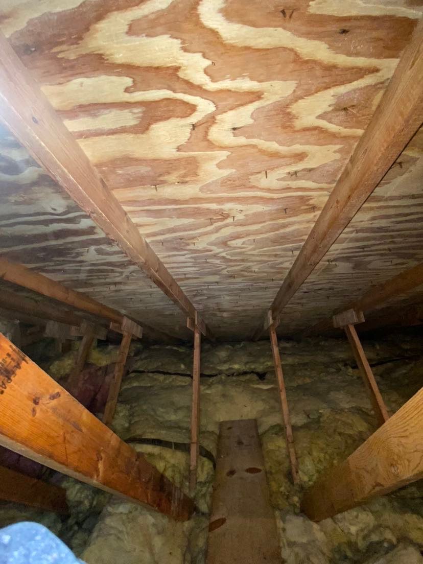 Attic Mold Remediation by Chicagoland Water Medics