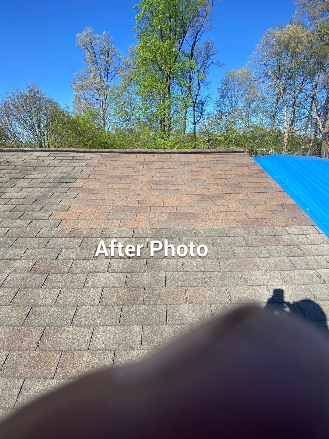 Roof Repair  by Alpha Design Services