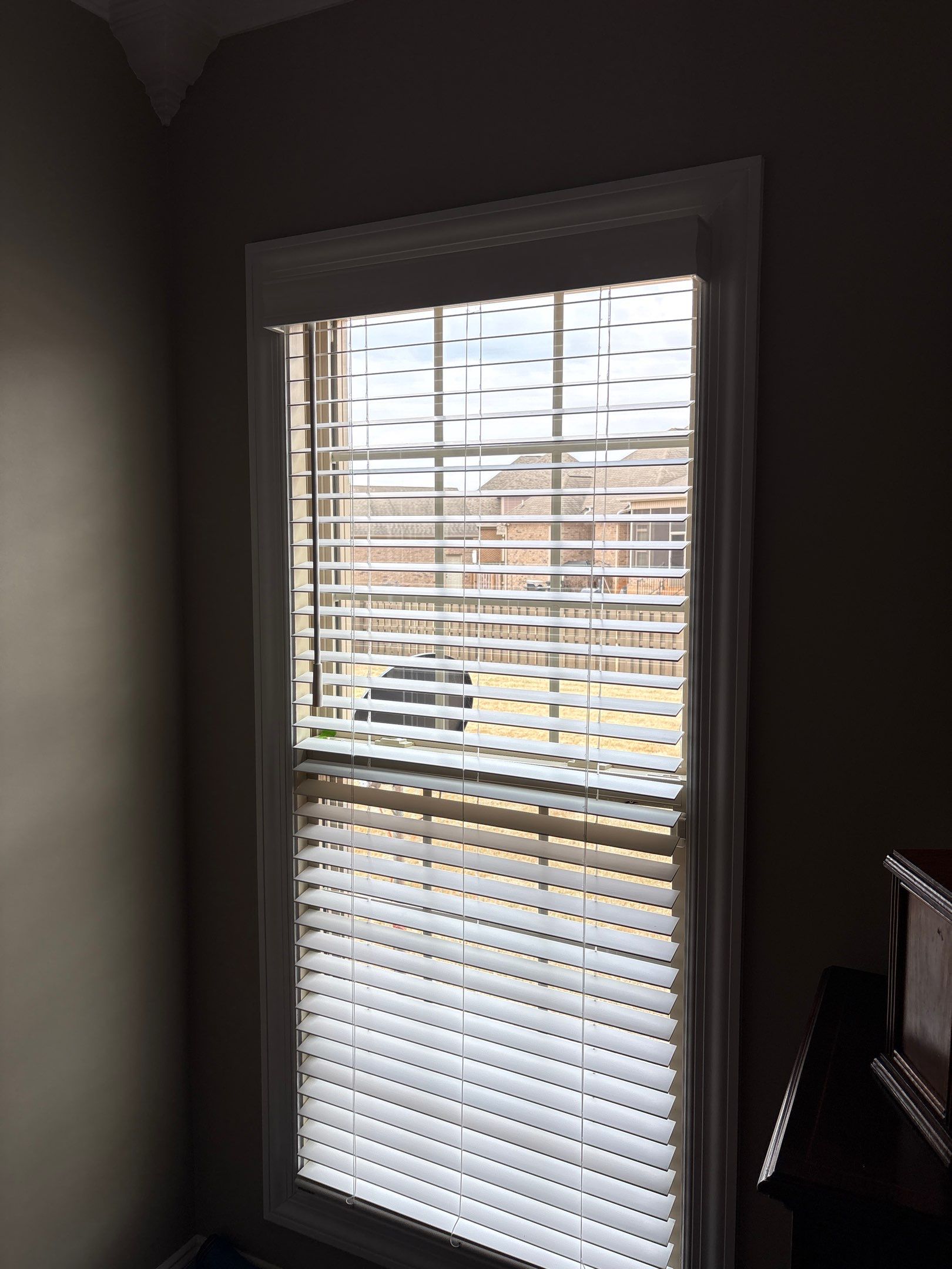 Faux Wood Blinds Project in Madison by Blinds and Borders