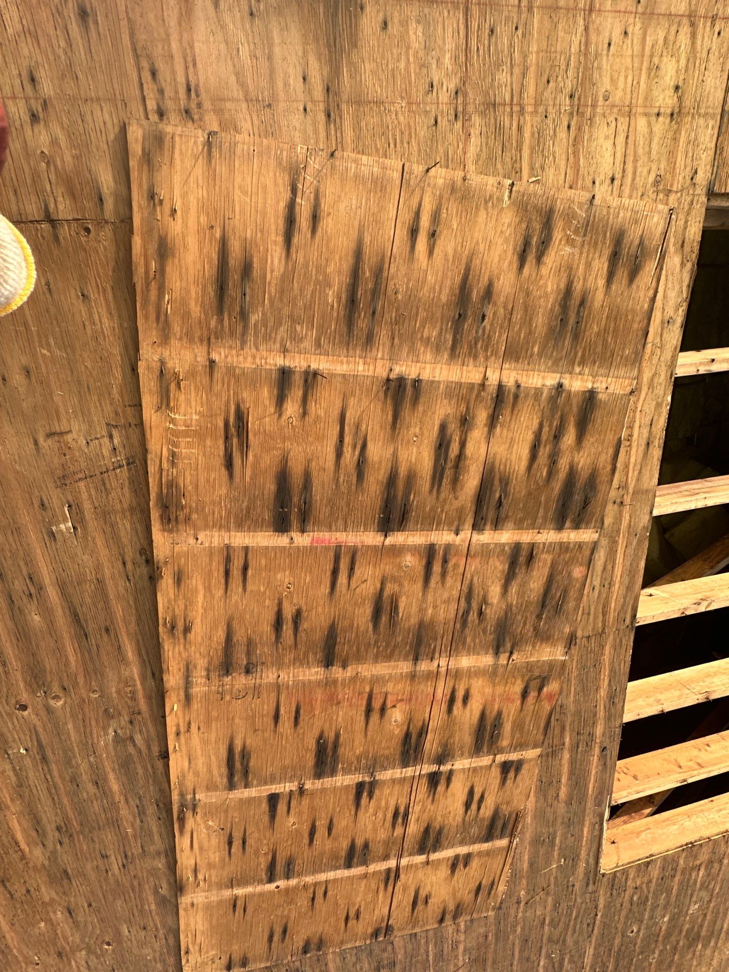 Project in West Haven by Elitex Roofing