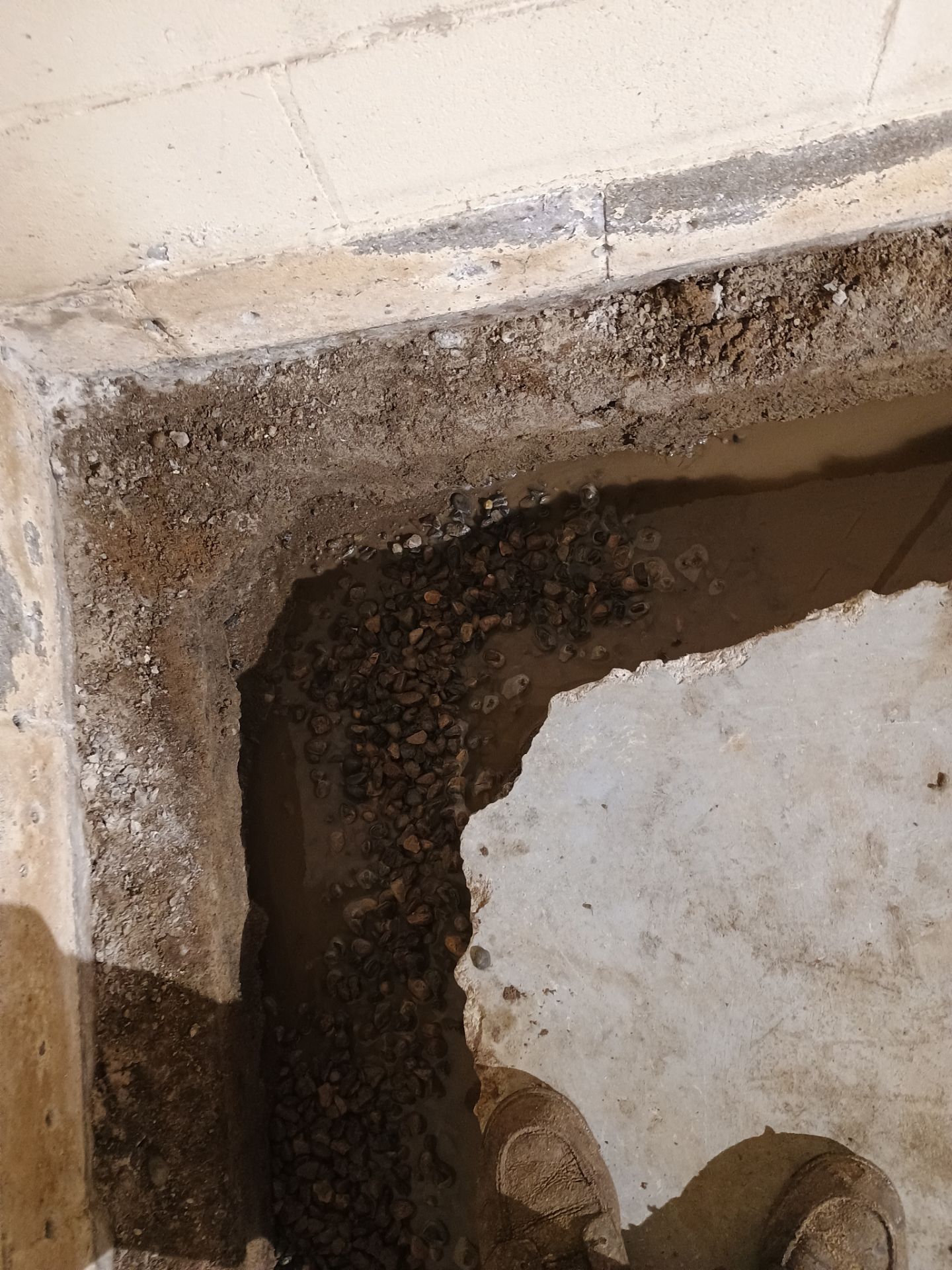 Drain Tile & Sump Pump for Kassie's Rental Property by Waterproofing Northeast