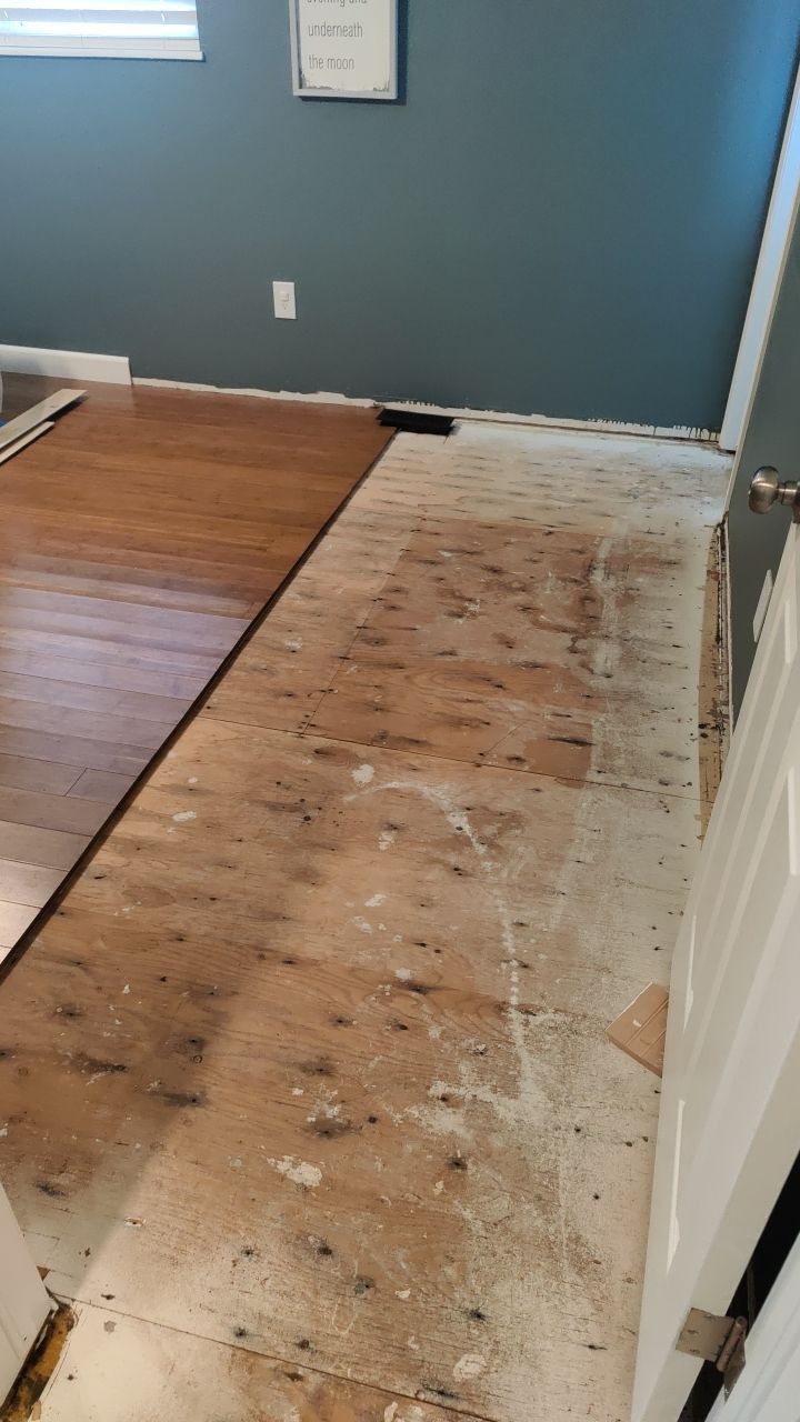 Water Damage  by Accountable Home Services