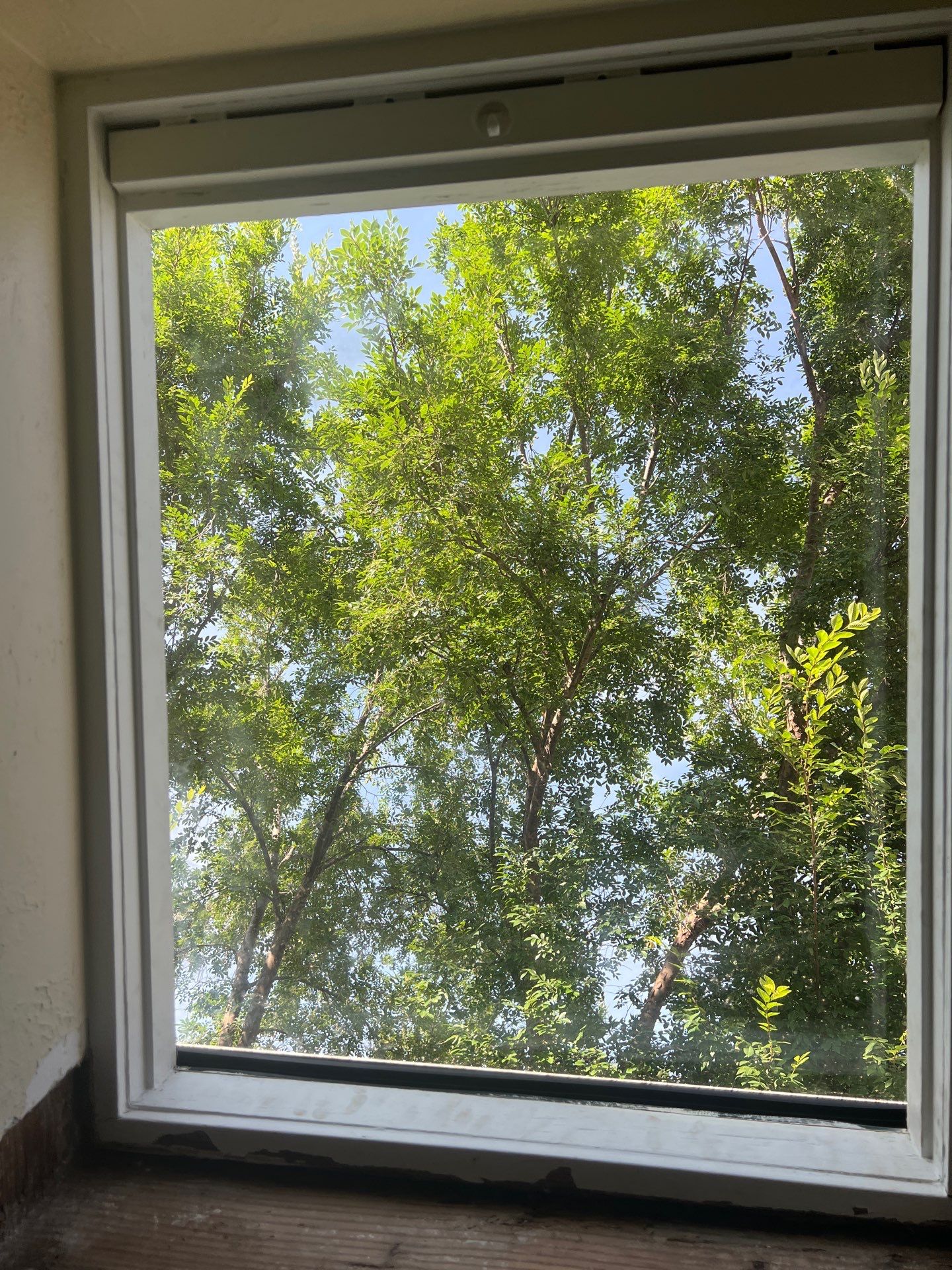 Skylight Replacement in Edmond, OK by McCann's Roofing and Construction