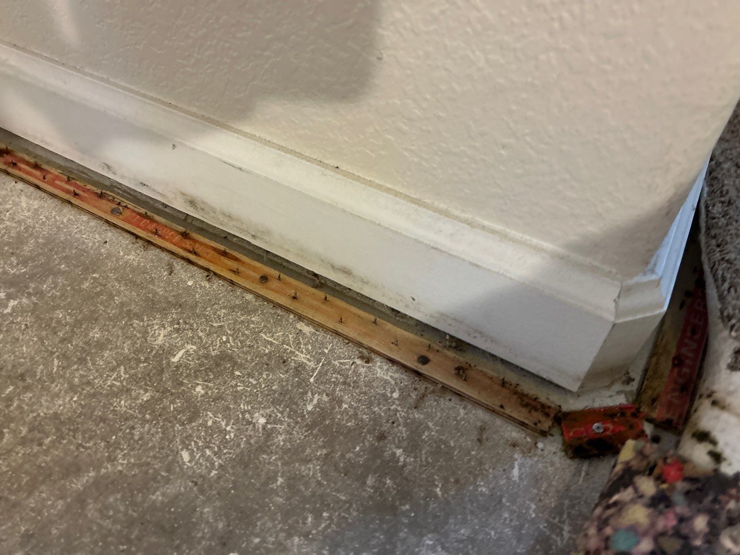 Mold Damage Project in Thornton by Accountable Home Services
