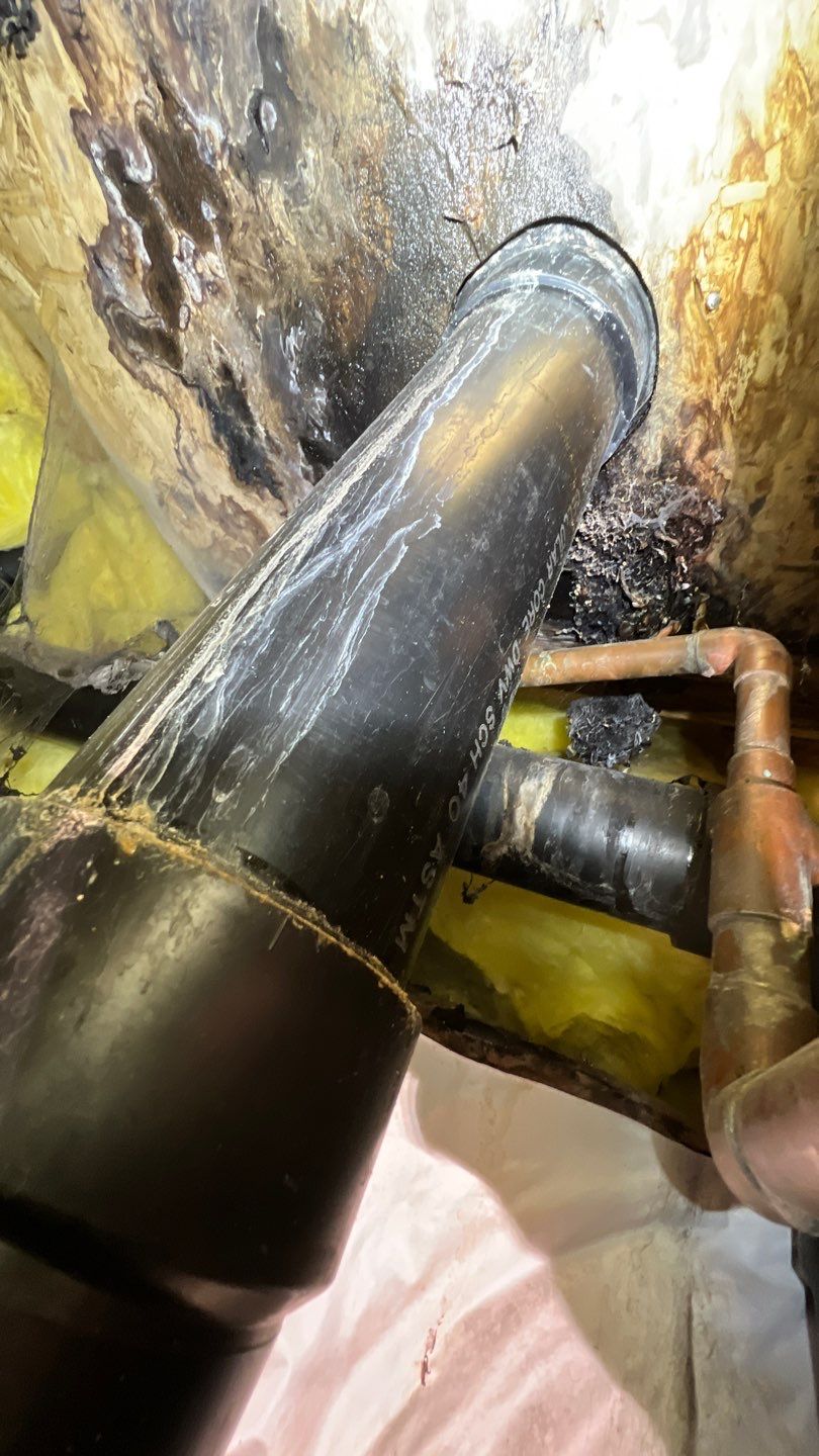 Mold Remediation by Accountable Home Services