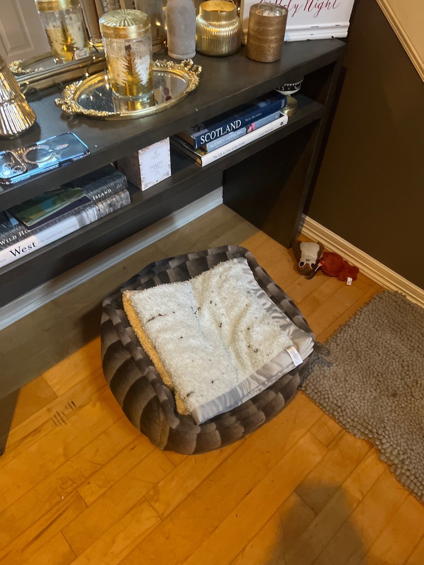 Maid service cleaning Project in Tigard by Cloud 9 Professional Cleaning Services