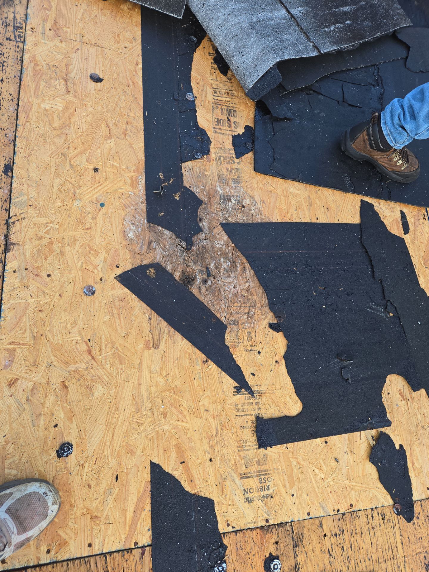 Project in St. Petersburg 33705 by Mitchell Roofing Company LLC 