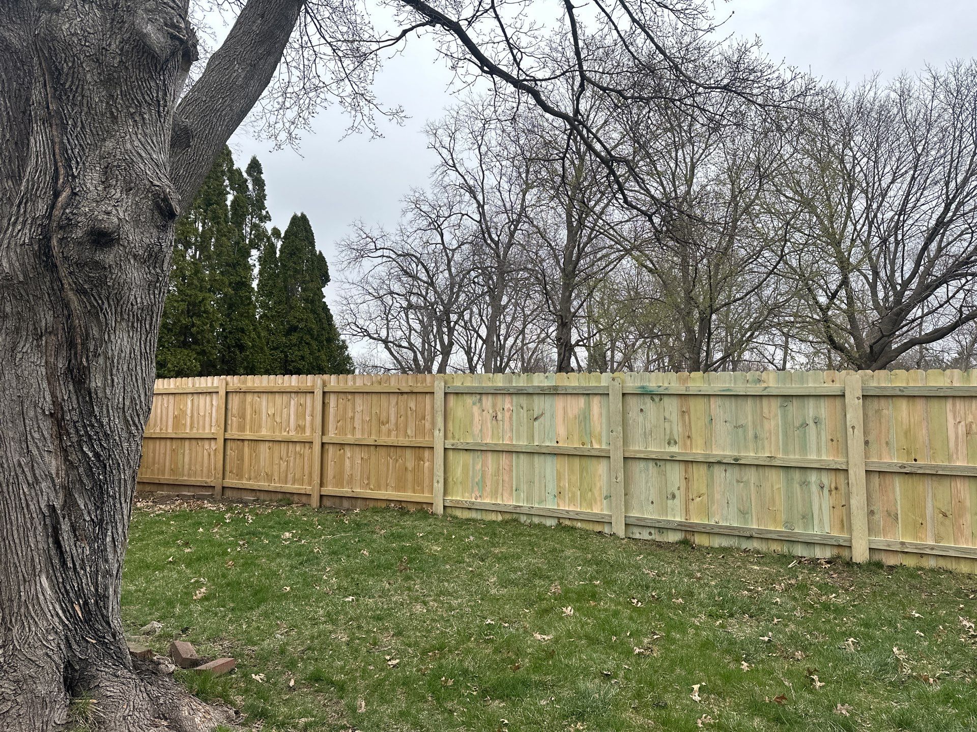 Pressure-Treated Wood Privacy Fence Replacement in Waterloo by Perfect Picket Fence and Stain