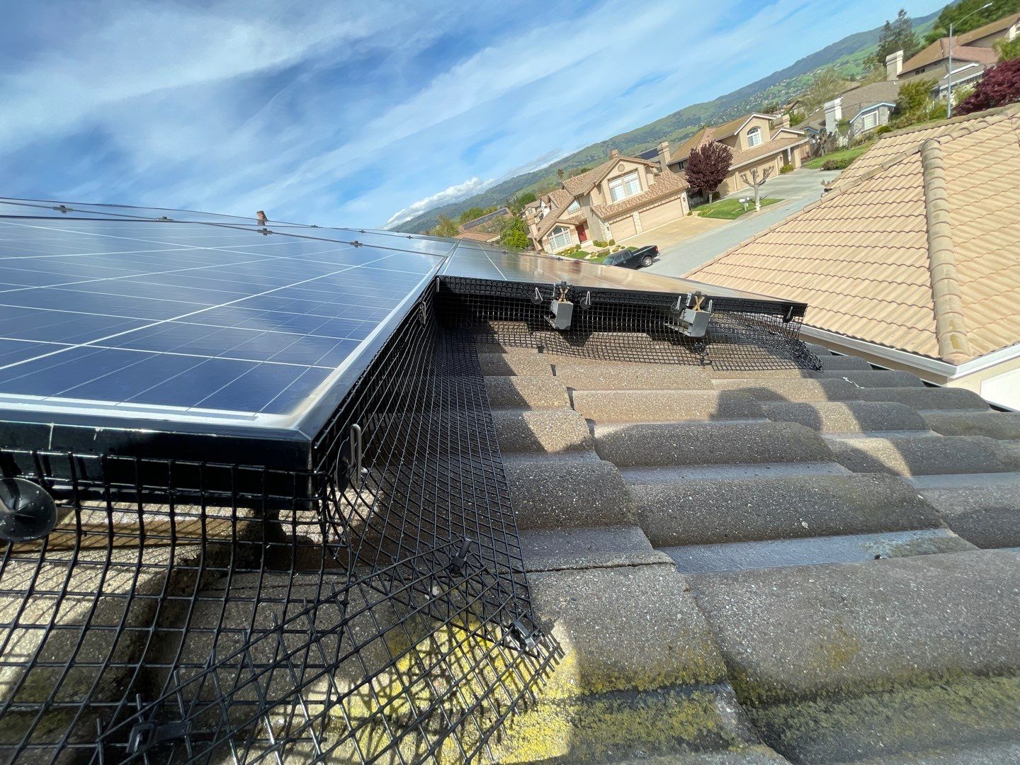 Solar Panel Bird Proofing-Morgan Hill by All One Solar Shine