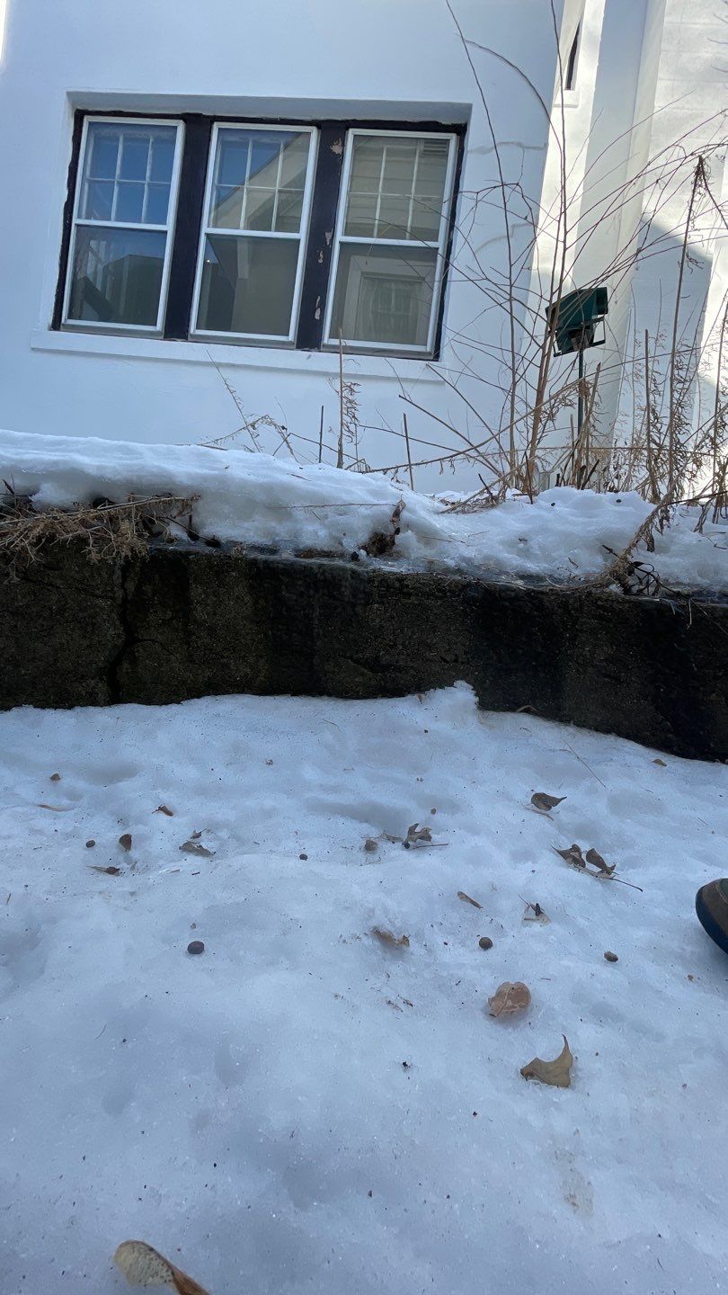 Interior AND Exterior Waterproofing? by Waterproofing Northeast
