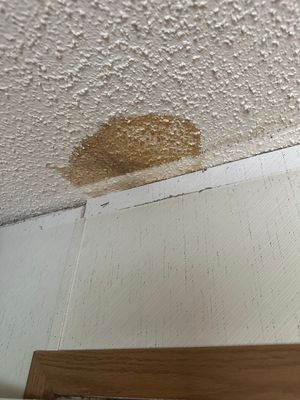 Project by BlueRed Restoration