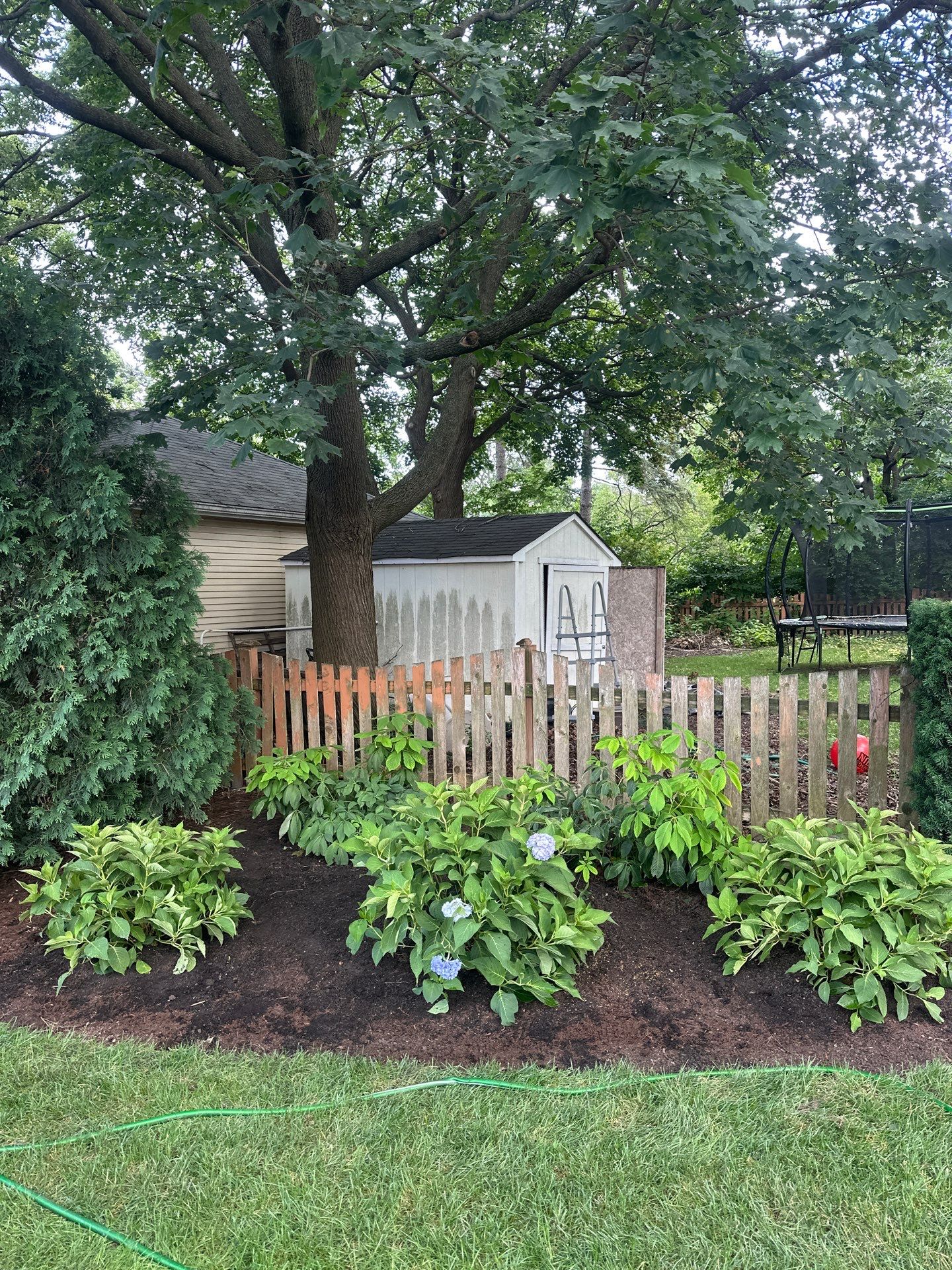 Scott M. - Arlington Heights, IL by A&N