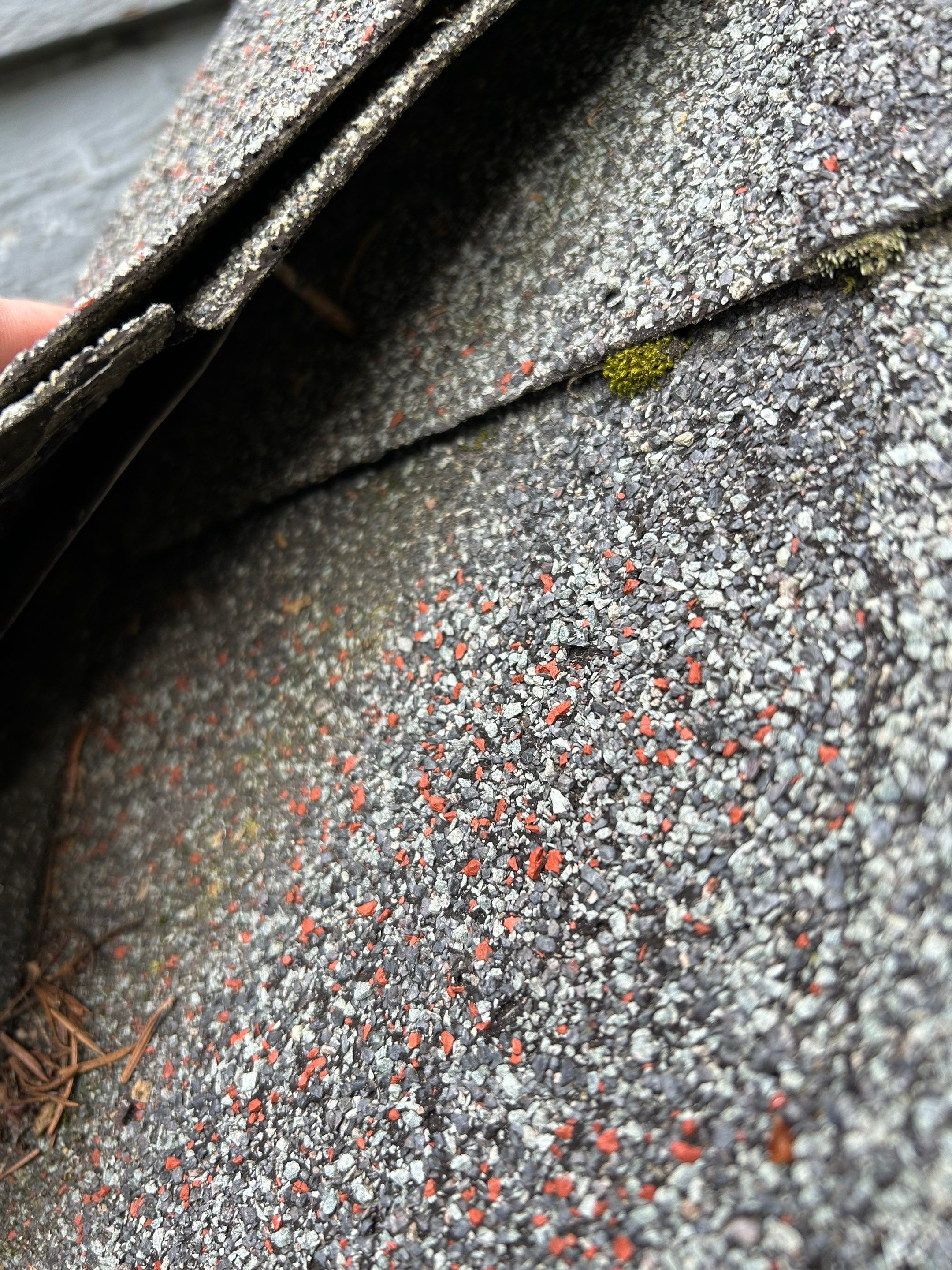 Project in Redmond by Peaks and Valleys Construction