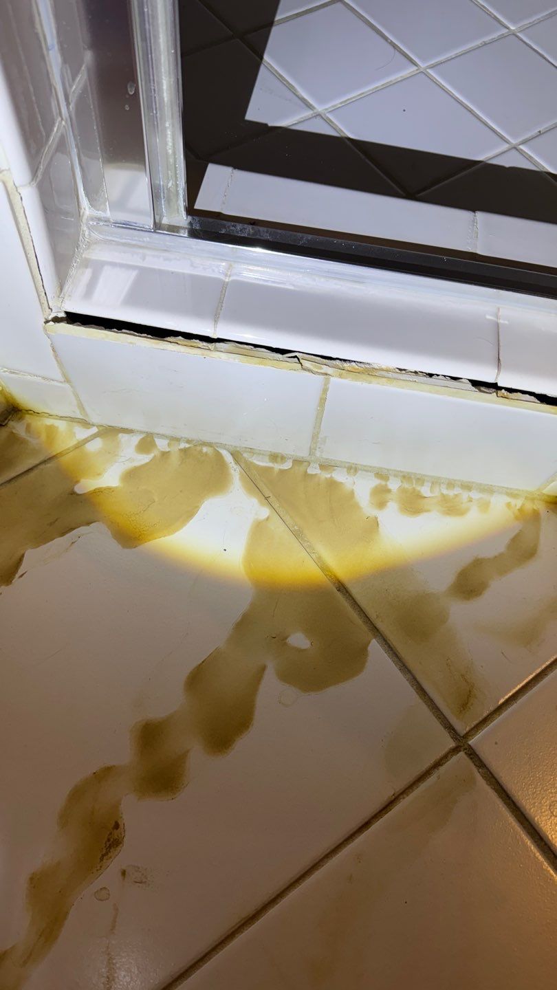 Mold Project in Englewood by Accountable Home Services