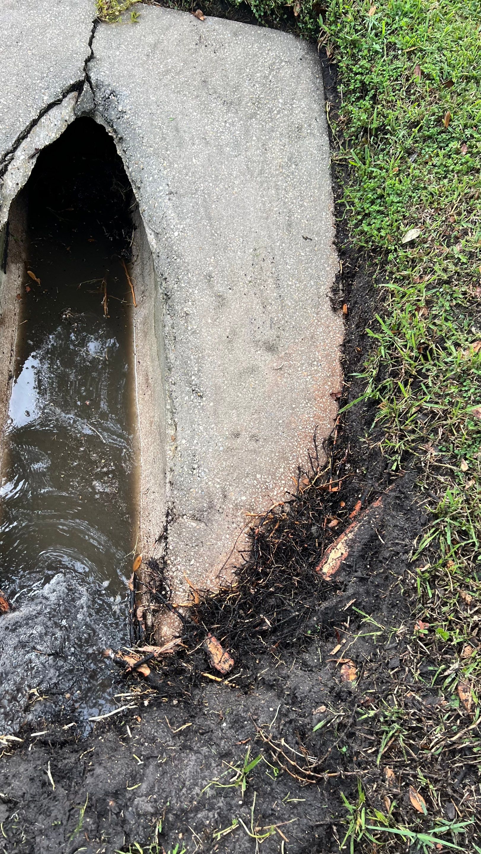 Naples Community Entry Road Stormwater System Cleaning by APS Power & Water