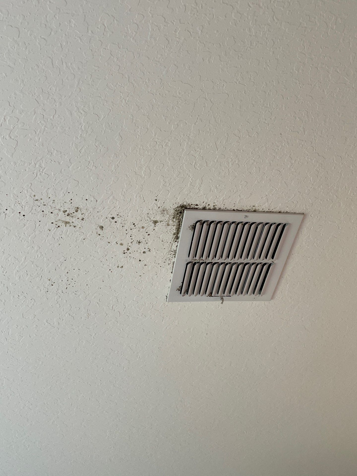 Air Duct Cleaning in Leesburg by Hygienic Air, Inc