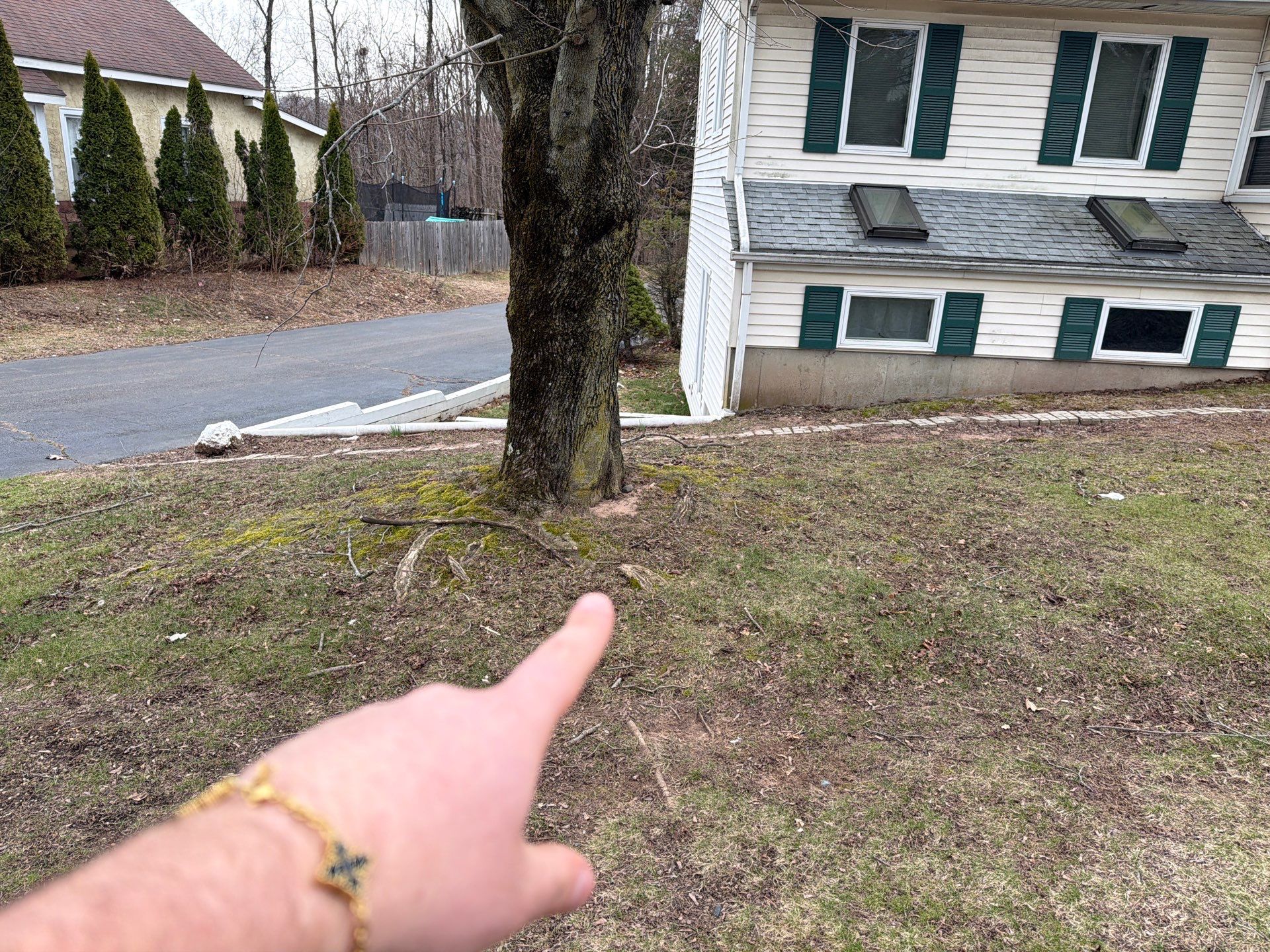 Residential Spring Cleanup and Property Maintenance in East Haven by Diamond Image LLC