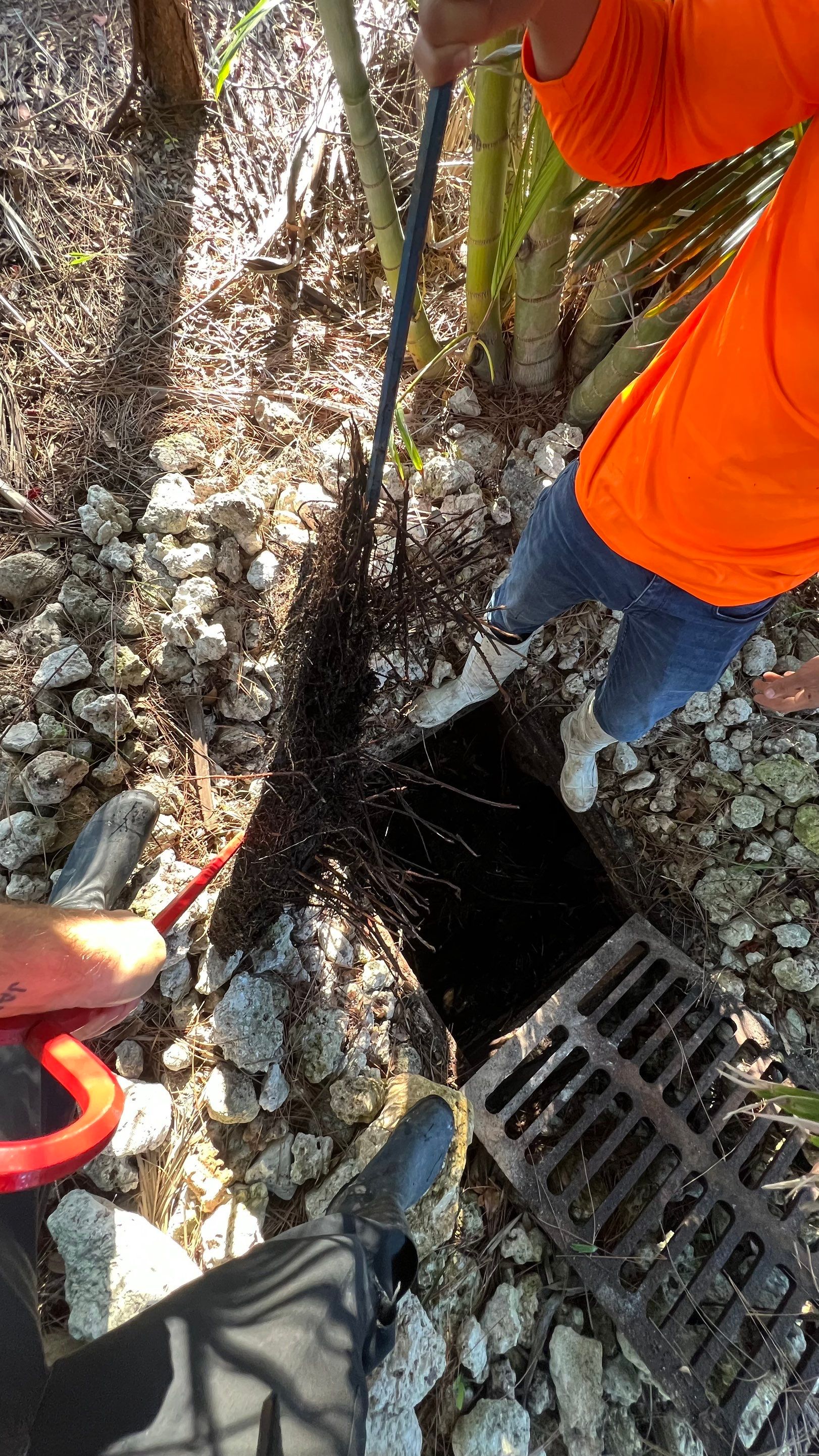 Neighborhood Catch Basin Cleaning by APS Power & Water