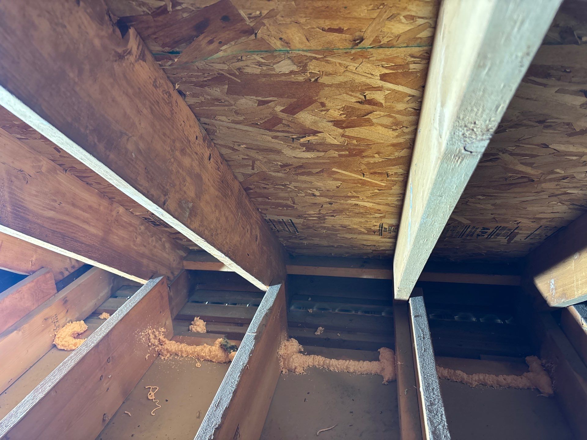 Attic sanitation and TruSoft insulation upgrade in Wexford, PA 15050 by Home Environment Solutions
