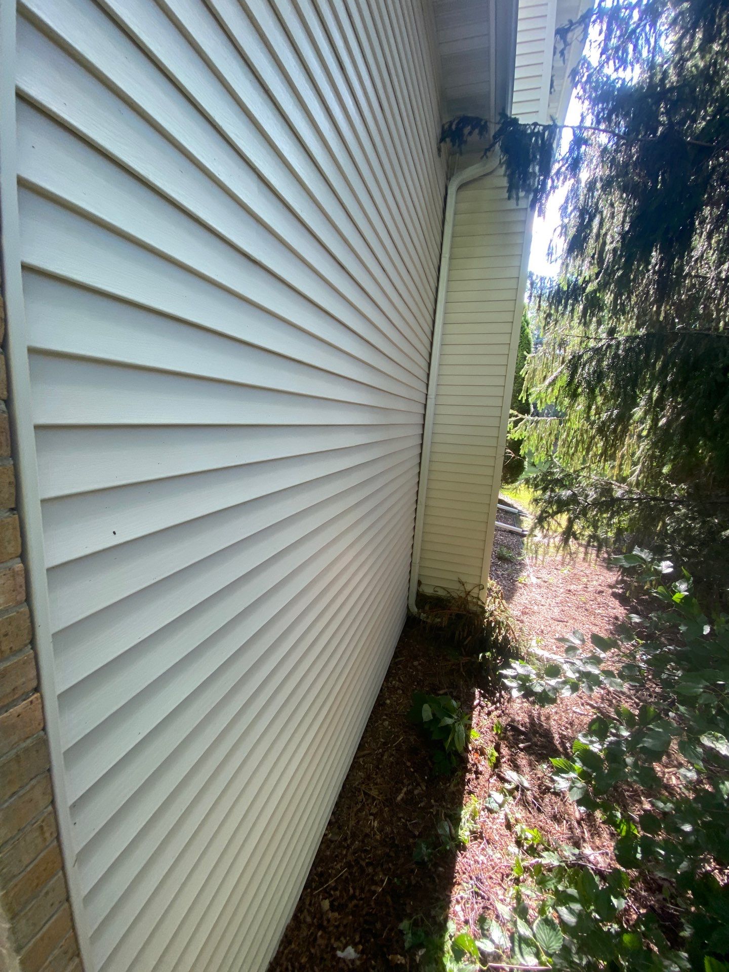 House and window wash by Shulla Exterior Cleaning
