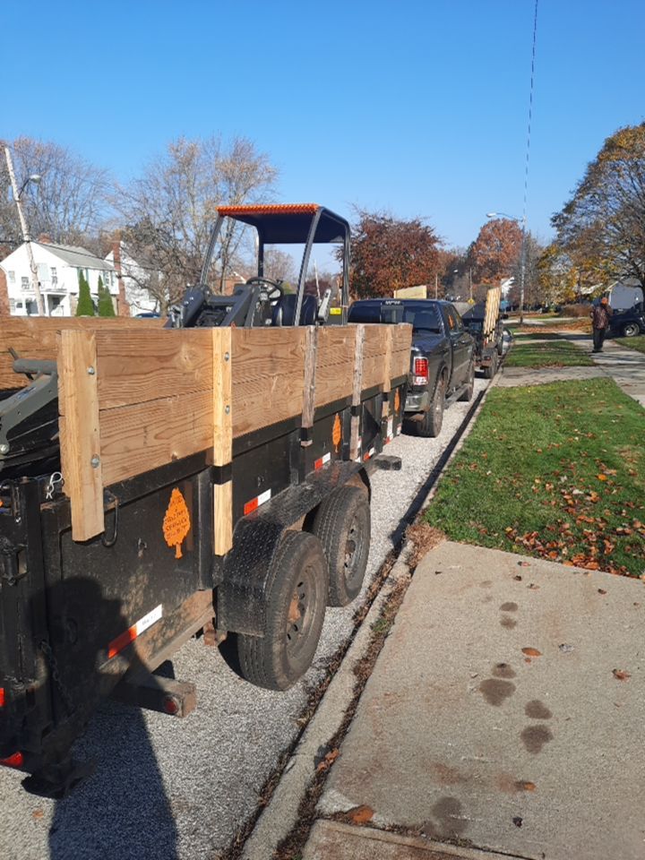 Tree Removal using Tree Removal by Mike Jones & Sons Tree Service LLC 